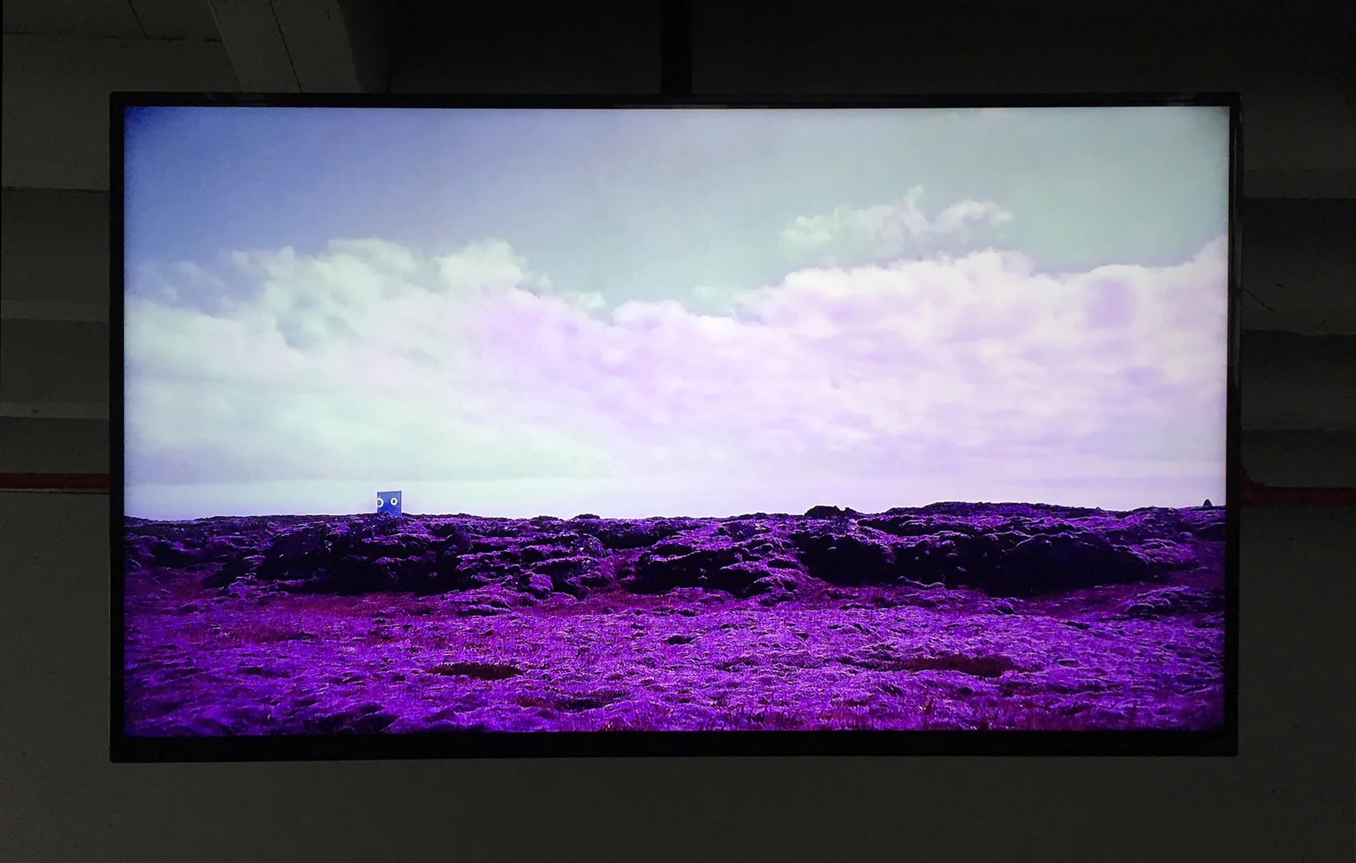 Emergenc/y (installation view on monitor)