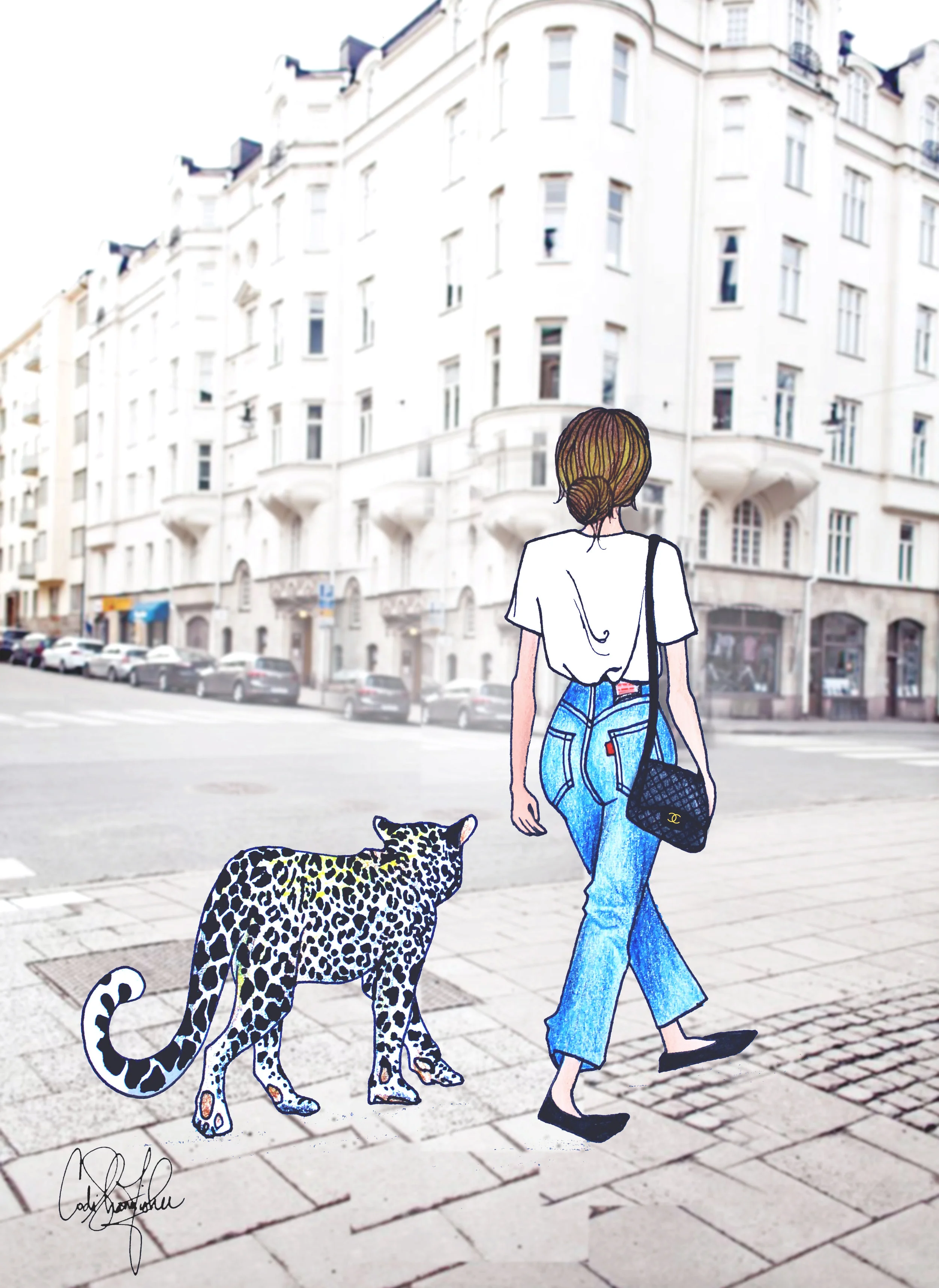 Basics Background.jpg