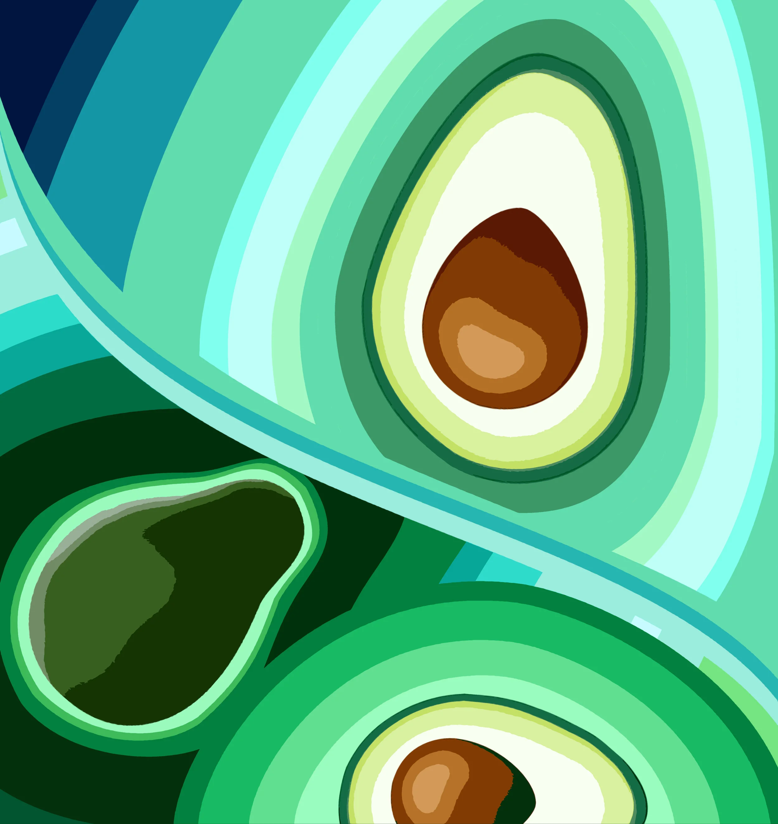 Avocado.jpg