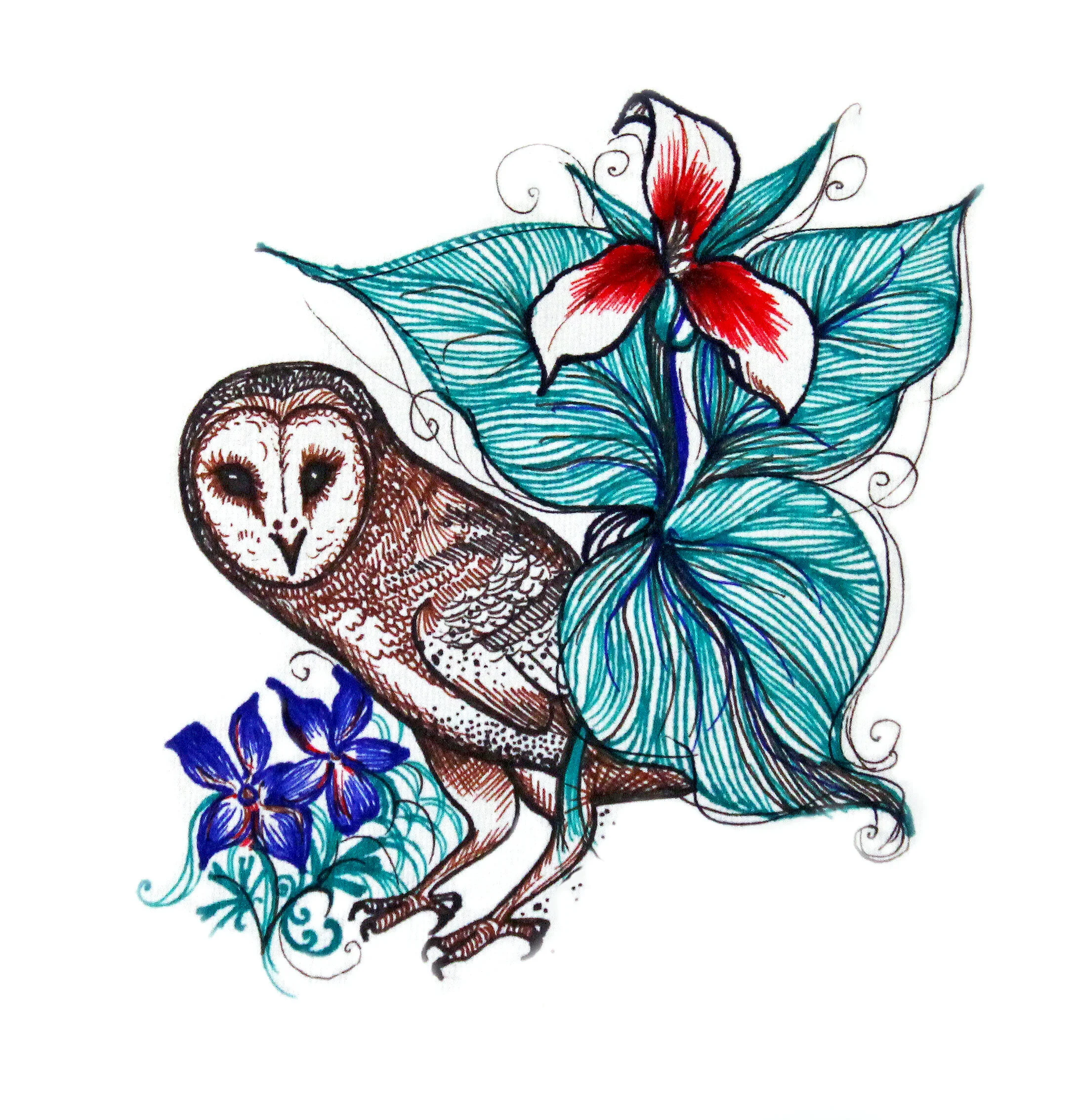 Owl.jpg