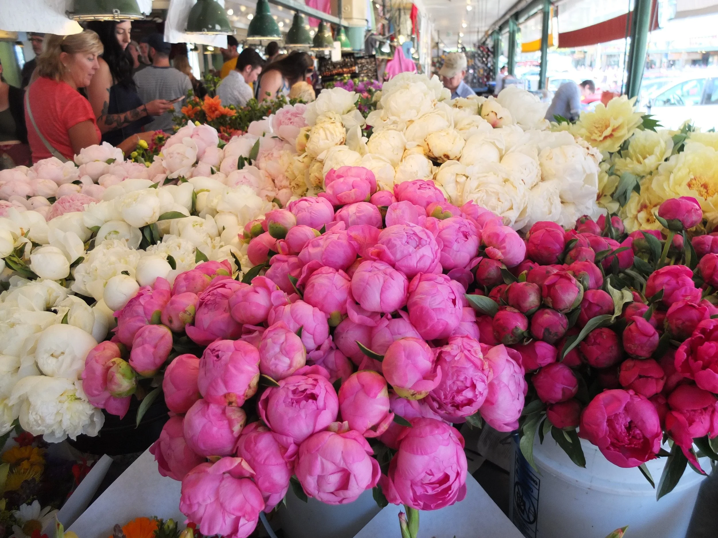 flowers 1.jpg