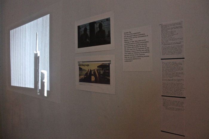 Project Vivant, Montreal, 2015. Photo: Sorcha Stott-Strzala