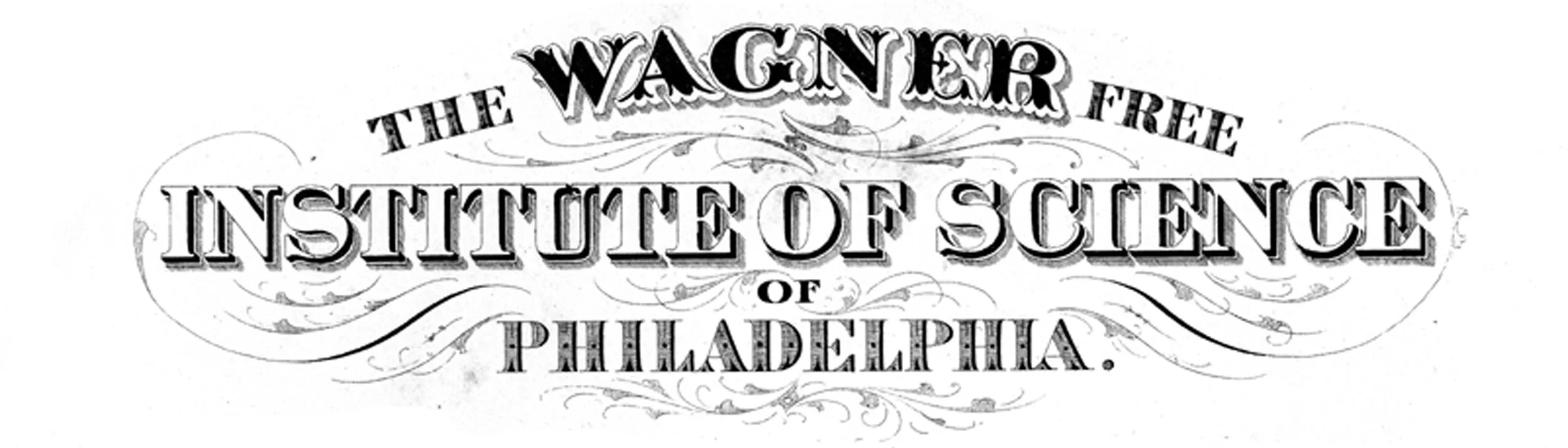 LOGO new scan.jpeg