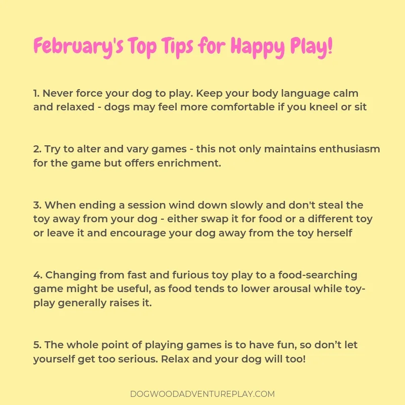 Feb Top Tips.jpg