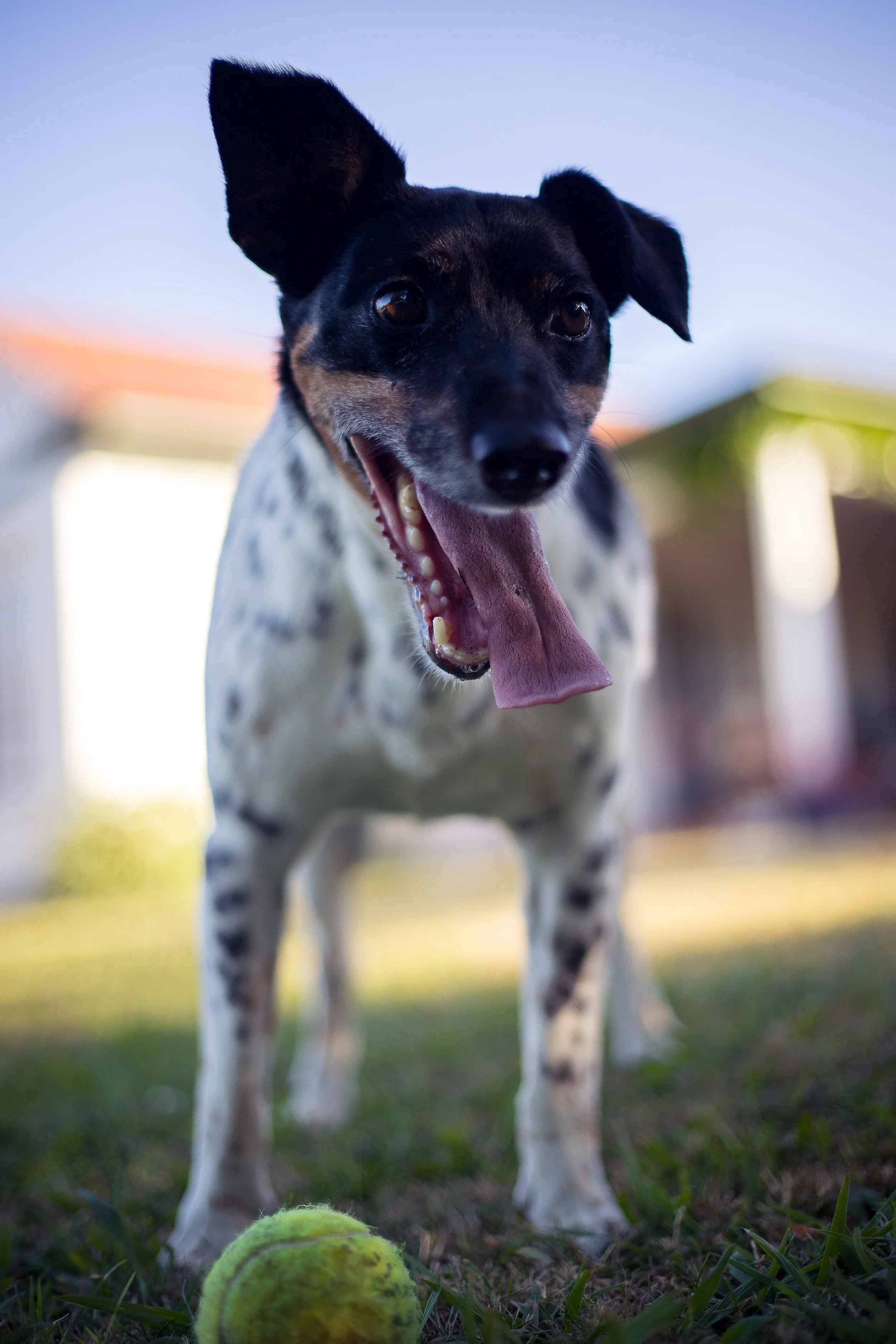 james-coleman-ZppoGs9nkqM-unsplash.jpg
