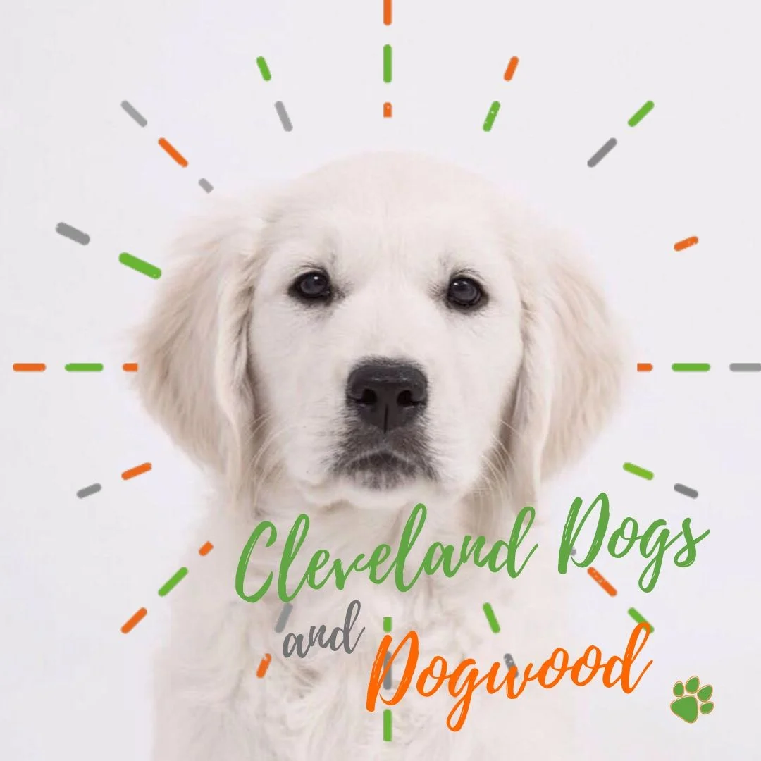 Dogwood and Cleveland Dogs.jpg