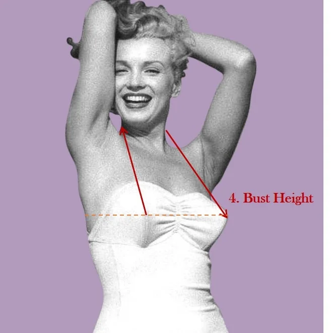 bust height.jpg