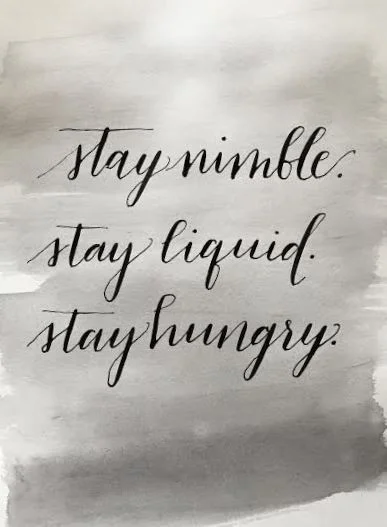 Stay Nimble2.jpg