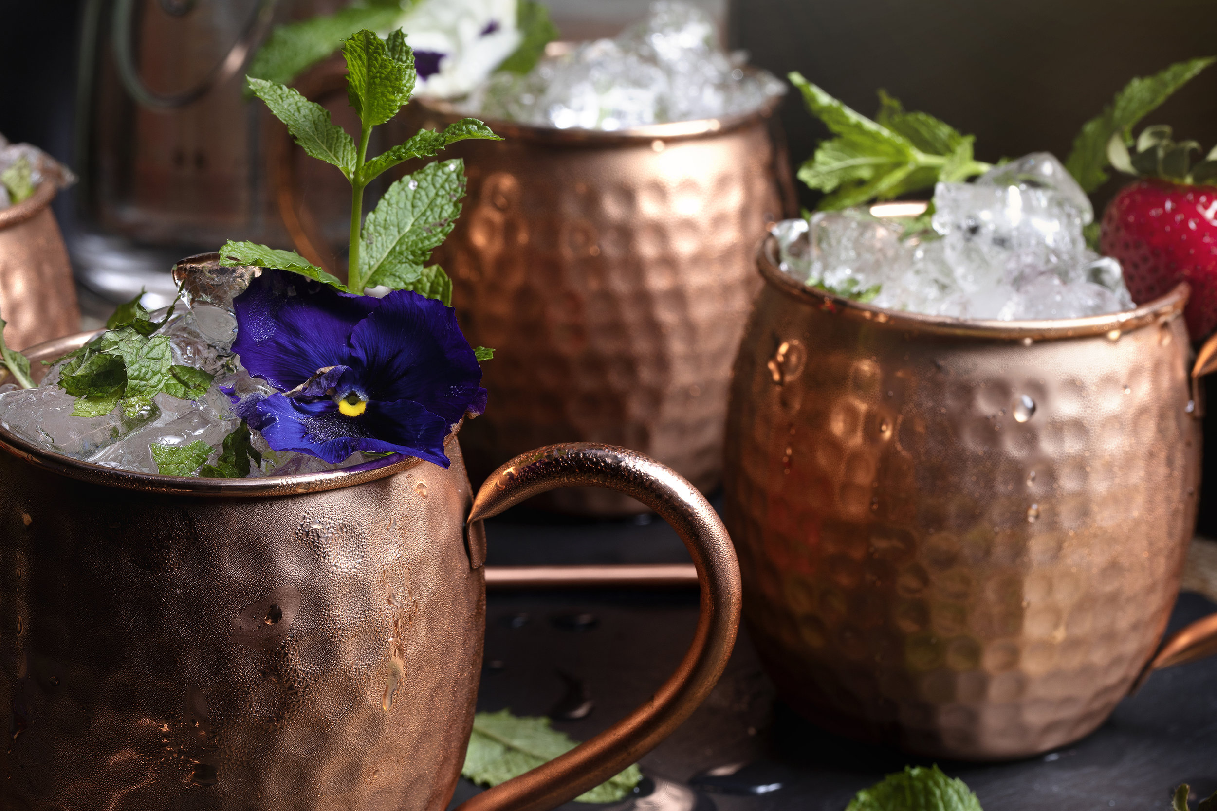 Robb Vices Moscow Mule Set Catalog Editorial.jpg