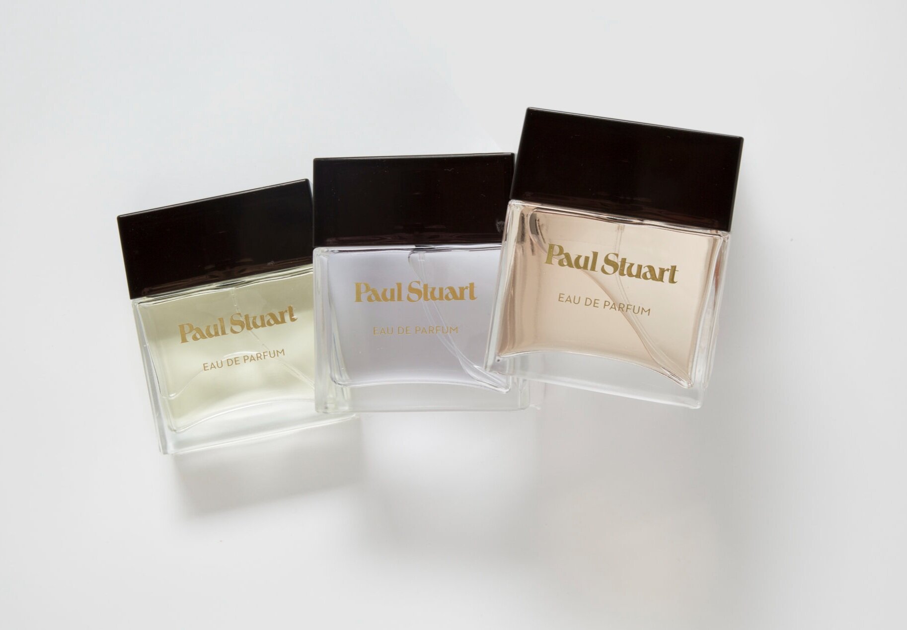 Paul+Stuart+Fragrances