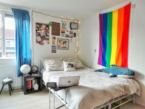 The current interior of my room. The pride flag serves as a good pop of color.