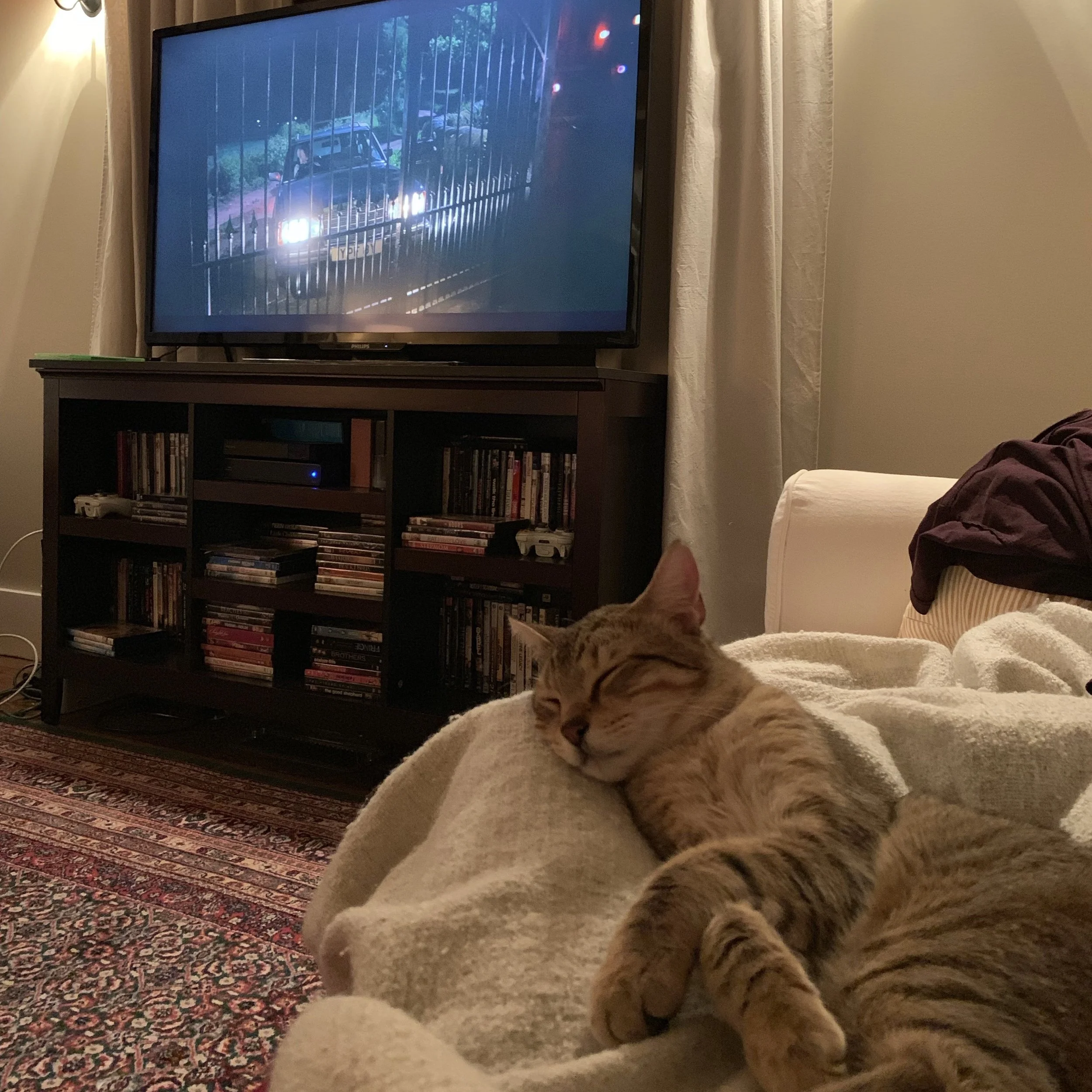 We Just Finished the Most Beautiful, Heartbreaking Show