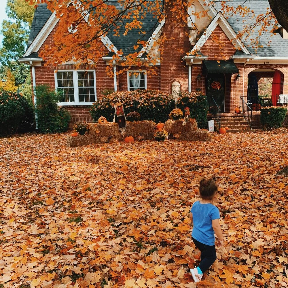 It's Finally Starting to Feel (and Look) Like Fall