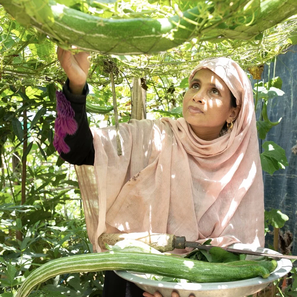 How Climate Change Impacts Displaced People