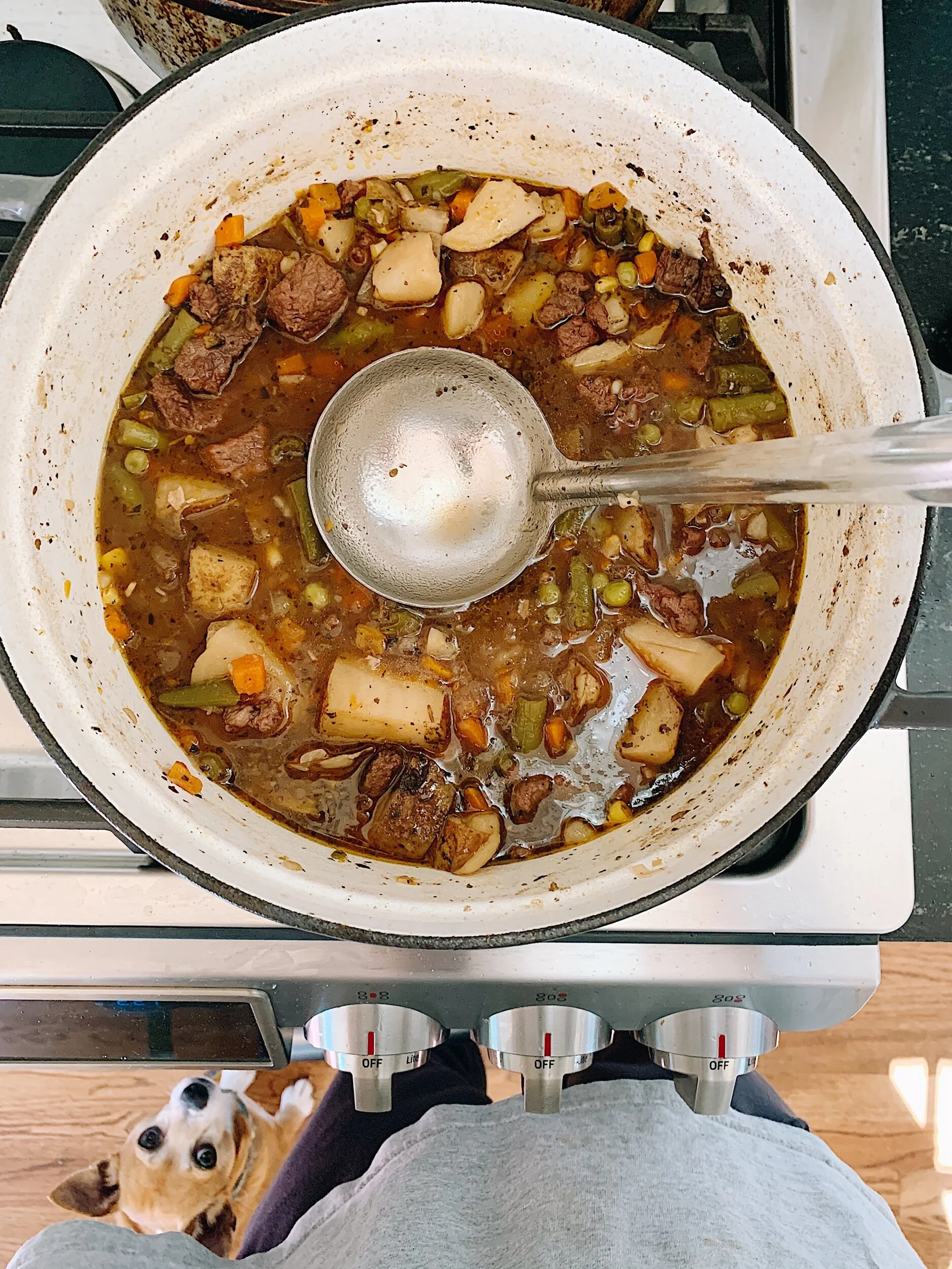 A Warm & Hearty Beef Stew Recipe — The Property Lovers