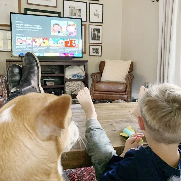 5 Shows We're Watching During Quarantine (and 2 We're Looking Forward To)