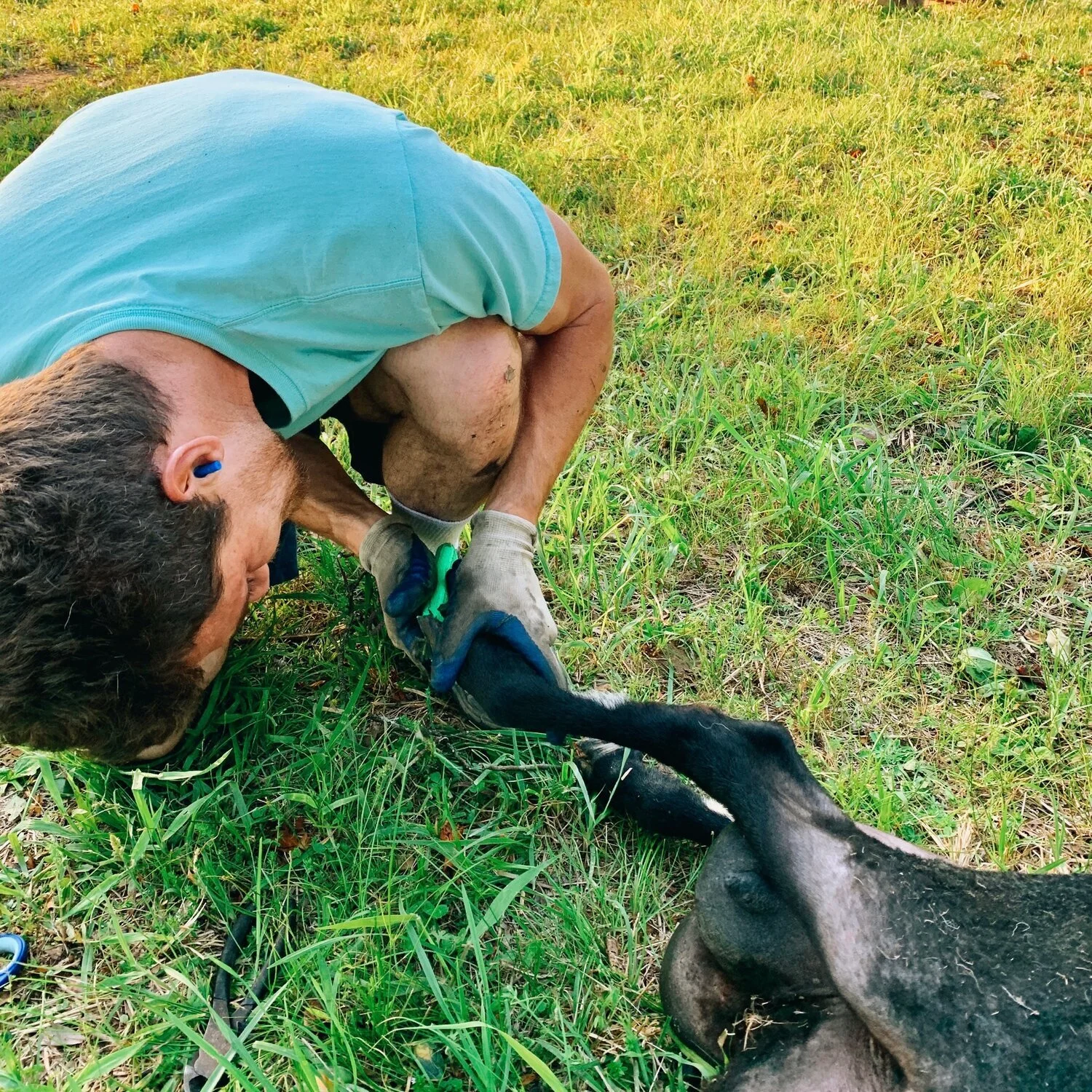 How I Really Feel About Living on a Farm