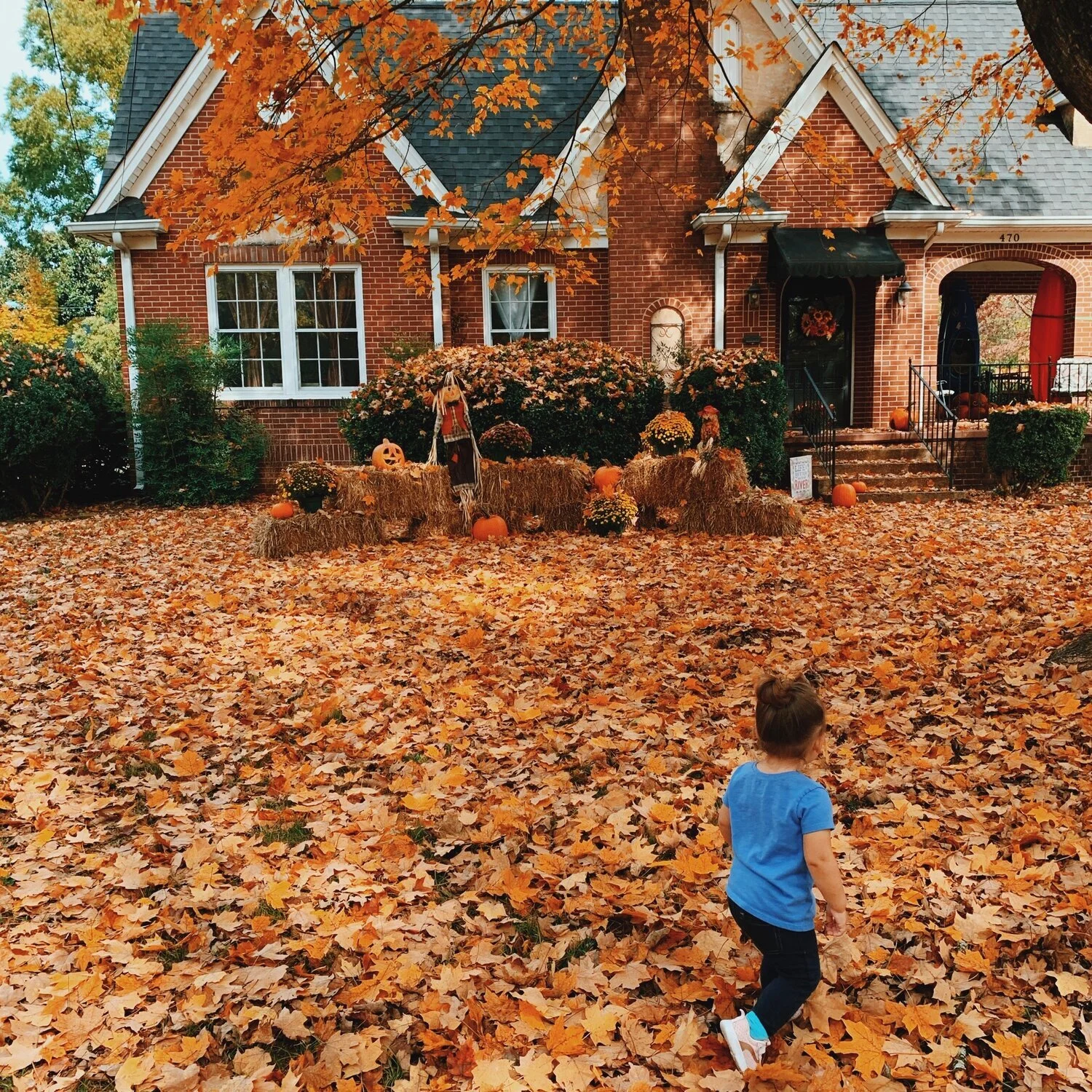 This Just In: Fall May Not Be The Same This Year