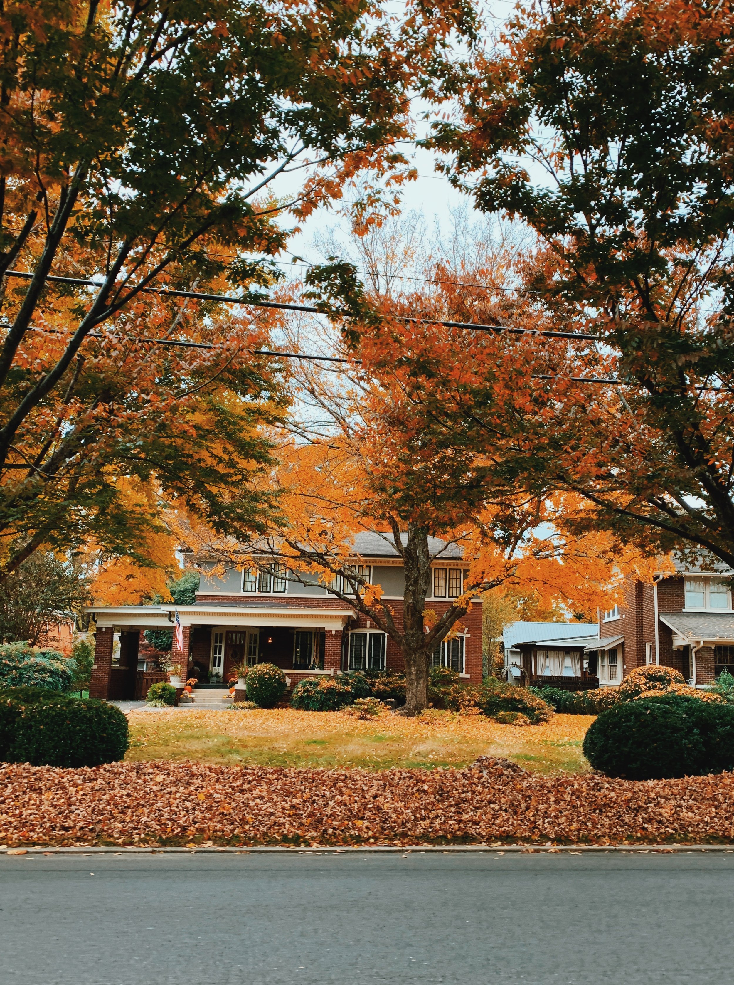 Town House or Country Mouse?