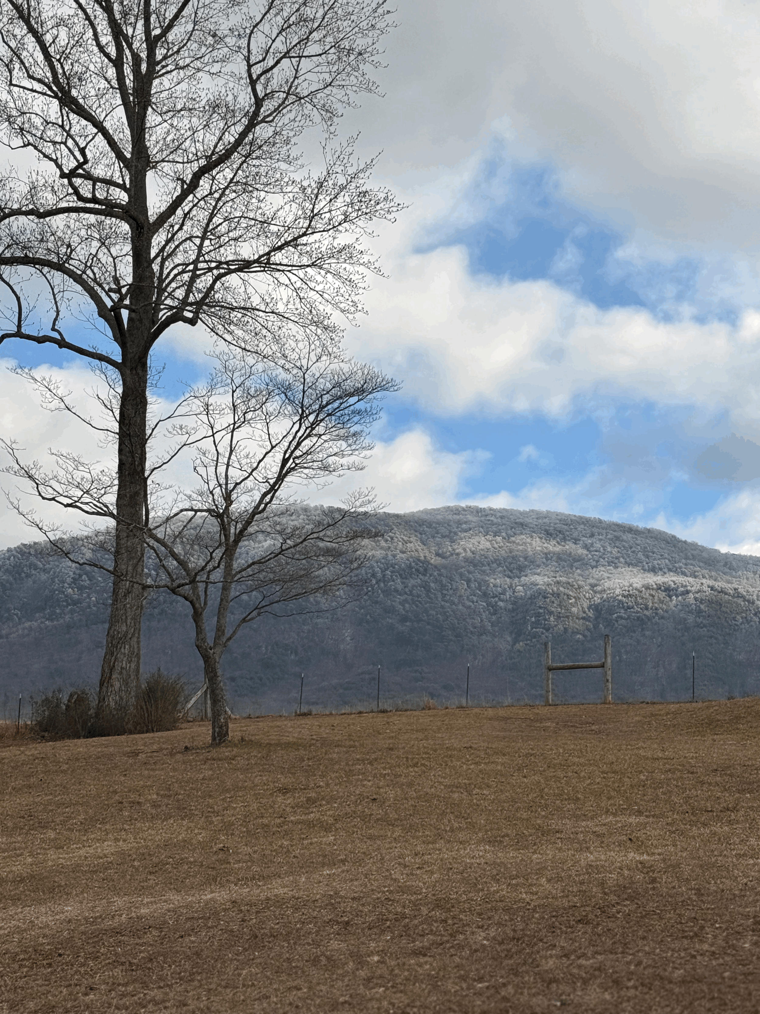 We Must Not Lose Our Humanity