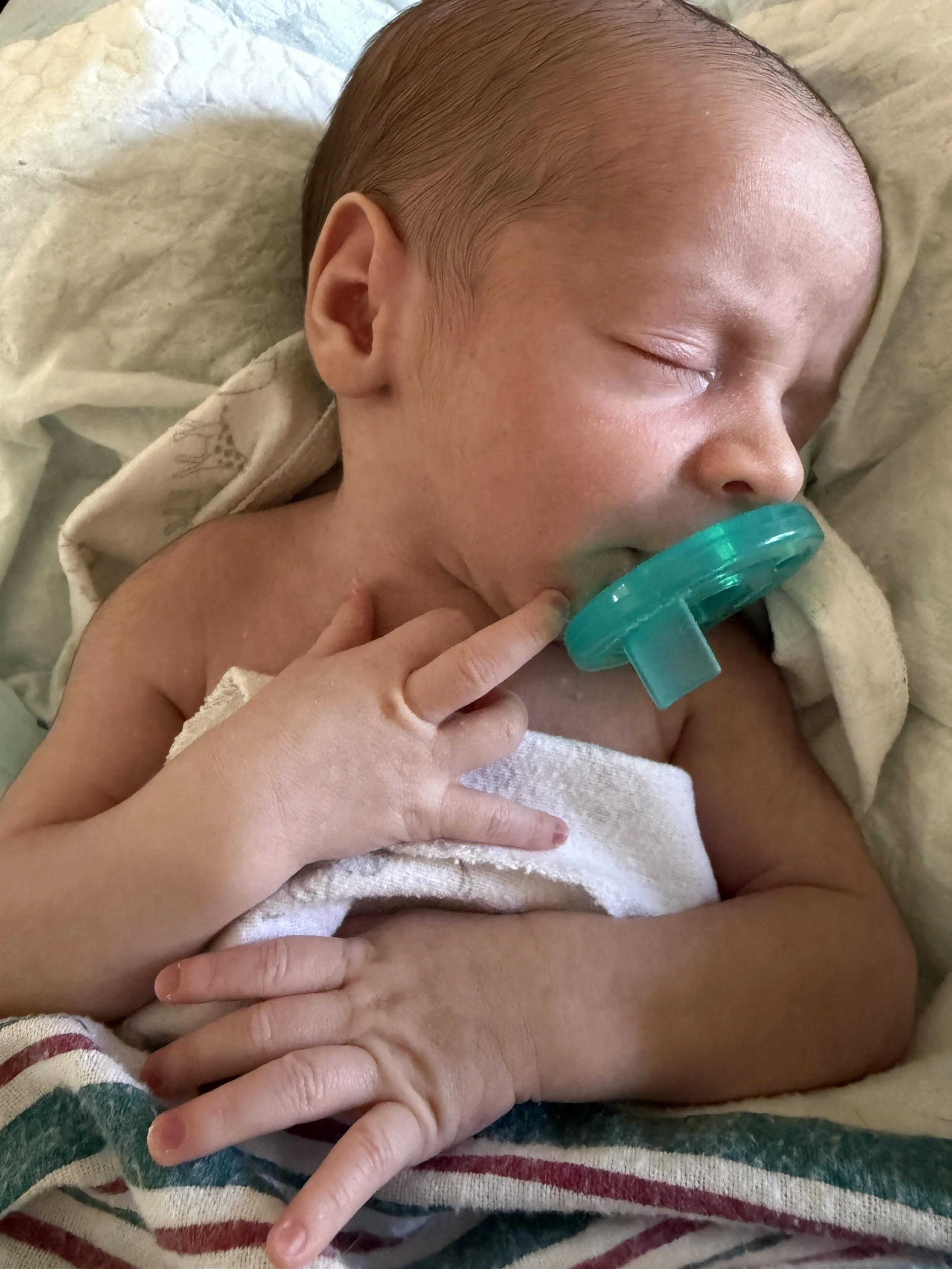 Meet the Newest Baby in Our Family!