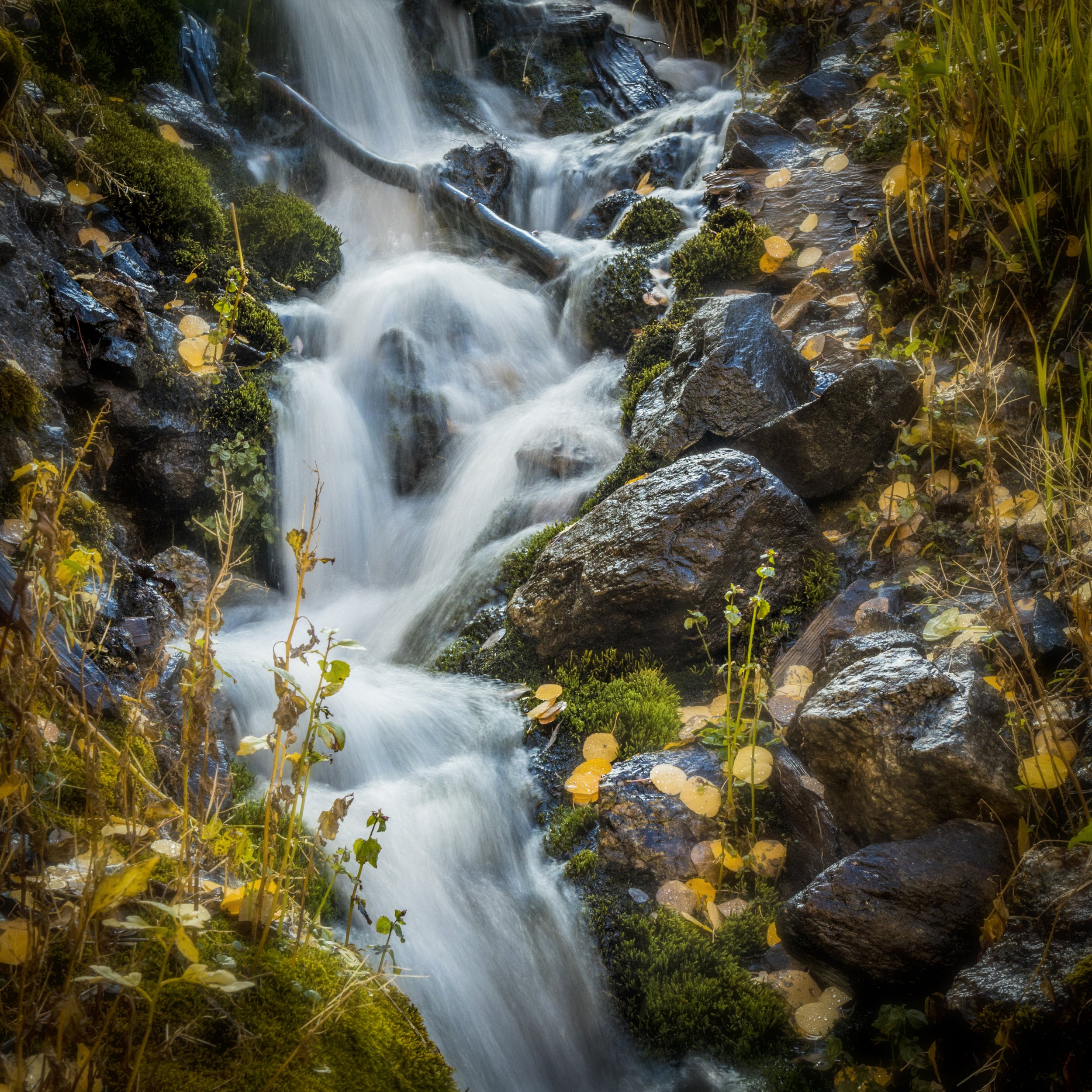 waterfall2.jpg