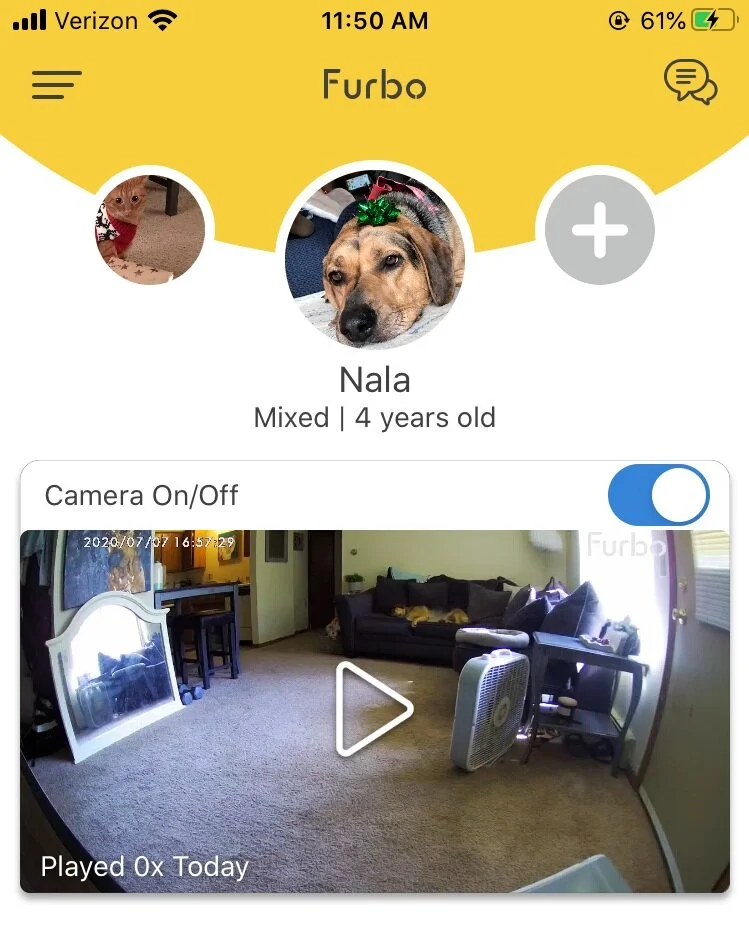 furbo dog camera setup