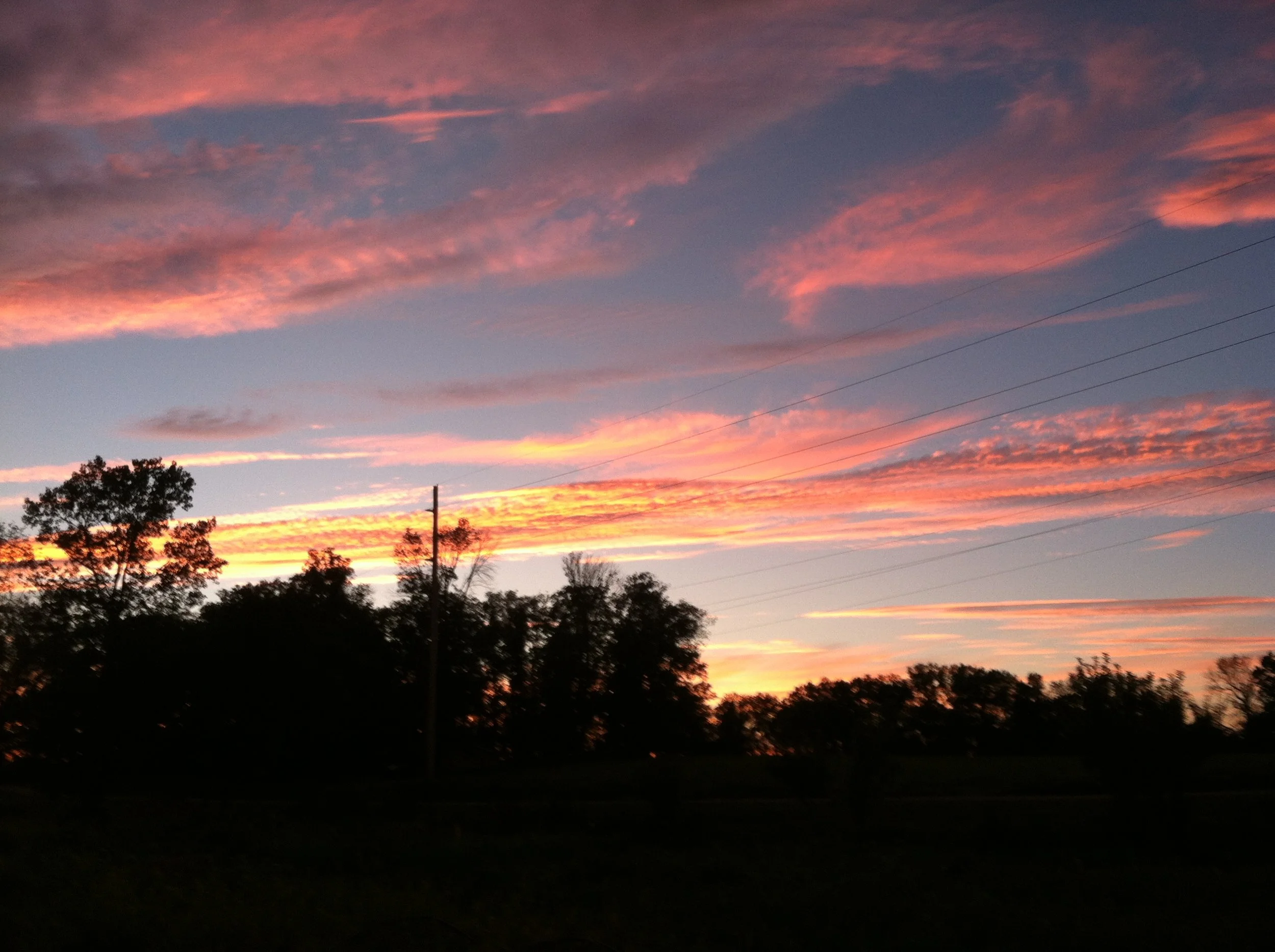 rainbows and hbs bottles 021.JPG