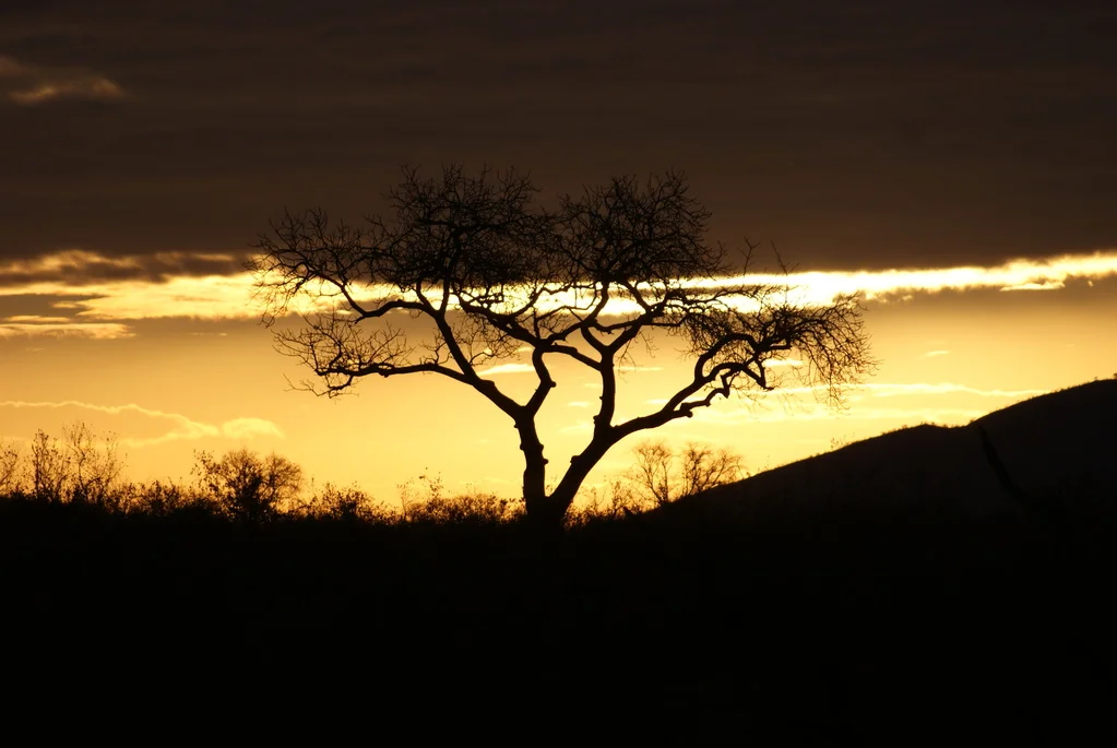 KRUGER NATIONAL RESERVE