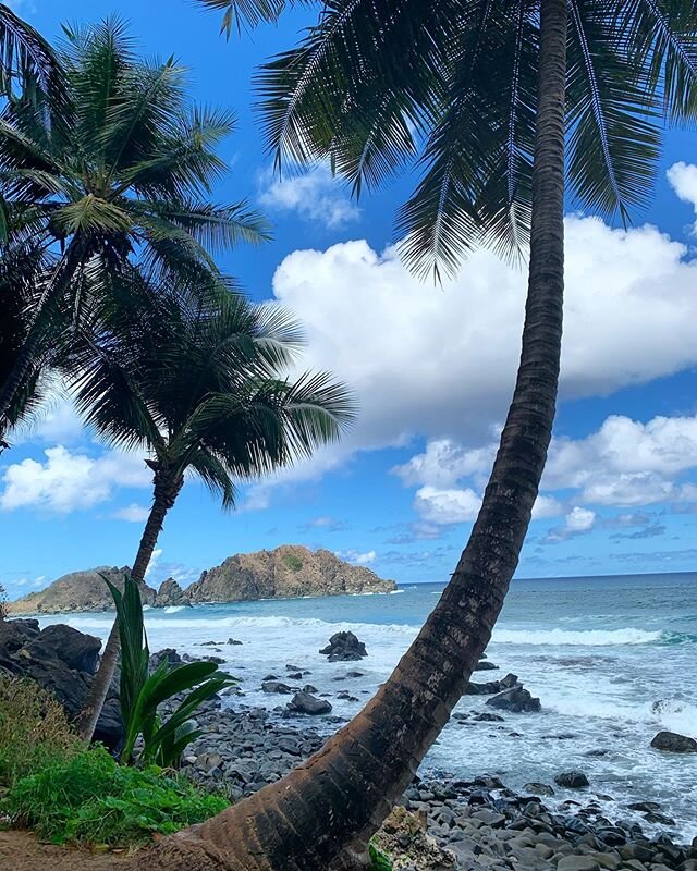 The Dog Beach 🏖 at #fernandodenoronha Tip: Go during low tide - no regrets! 
#brazil #beach #paradise #travel #destination #traveltip #tripadvisor #summer #nature #travelblog #aroundandbeyond