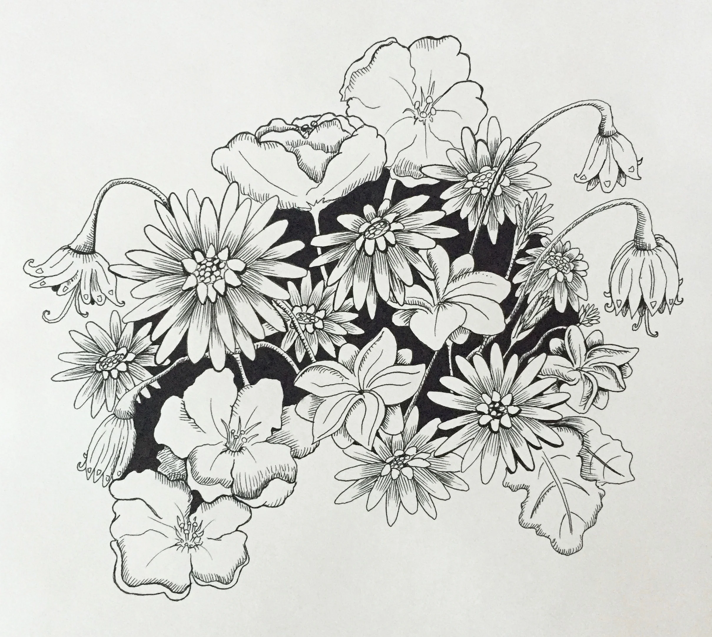 Floral Burst