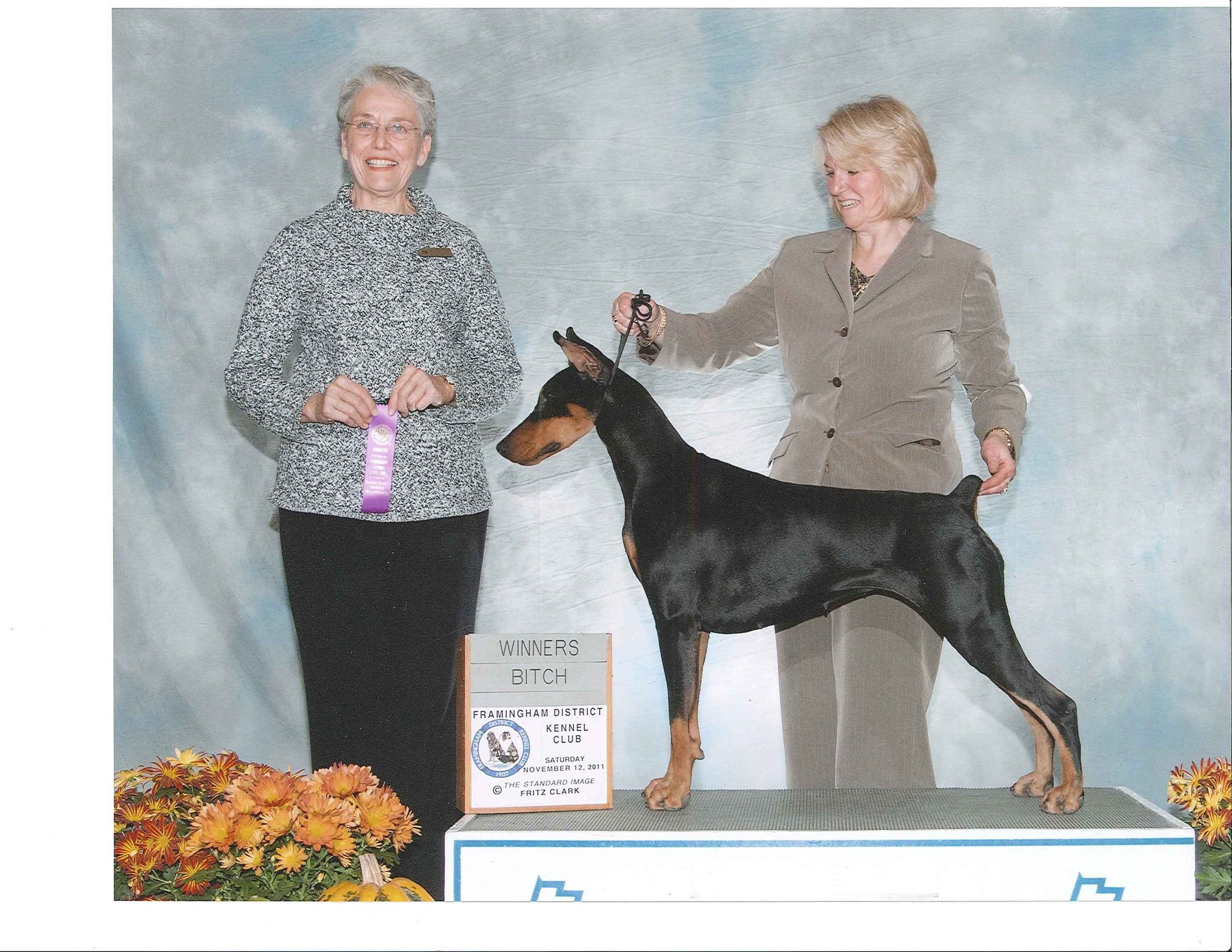 Scarlett-Nov 2011.JPG