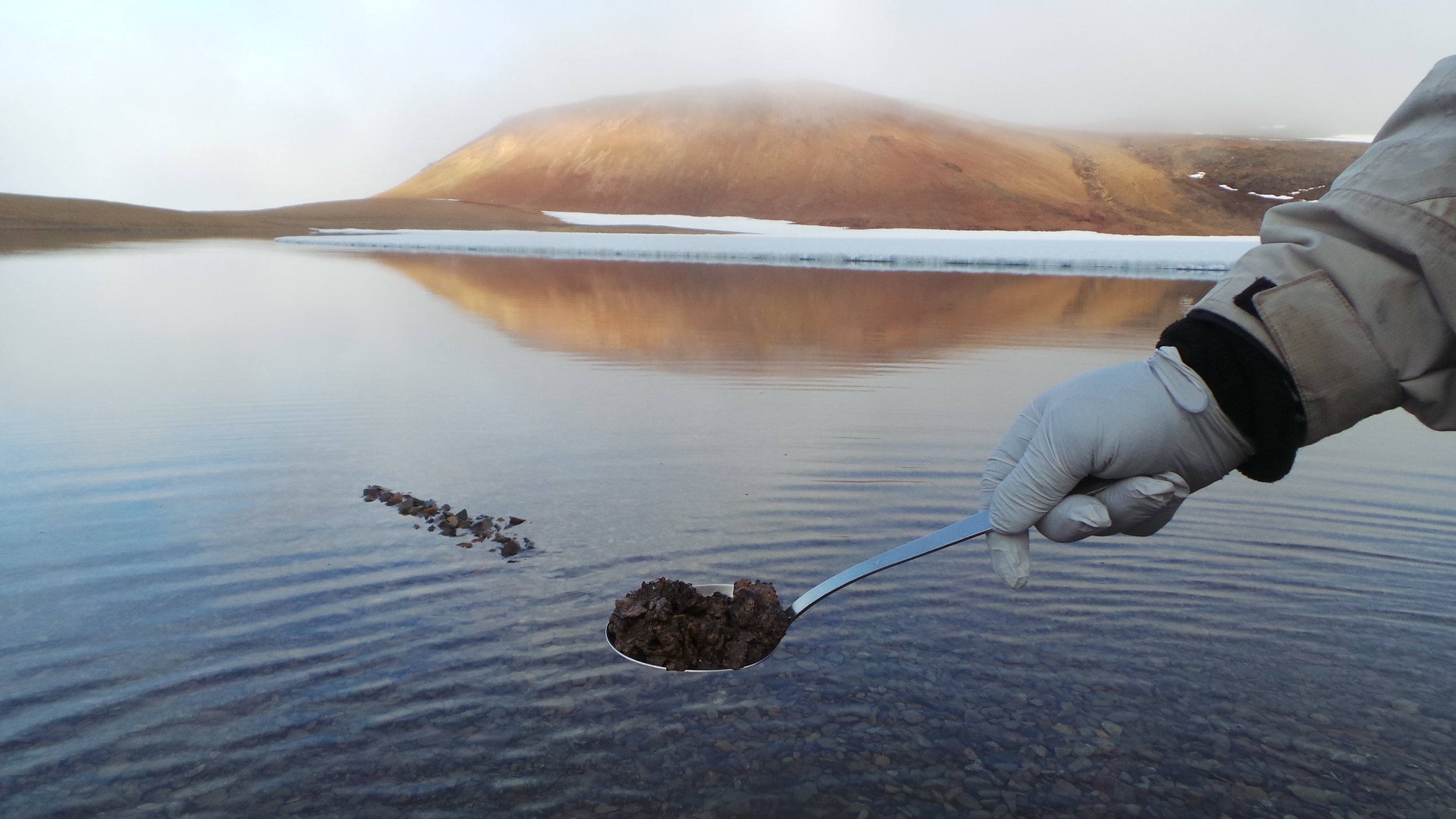 The littoral mats of Ward Hunt Lake, presented by Jérôme Comte