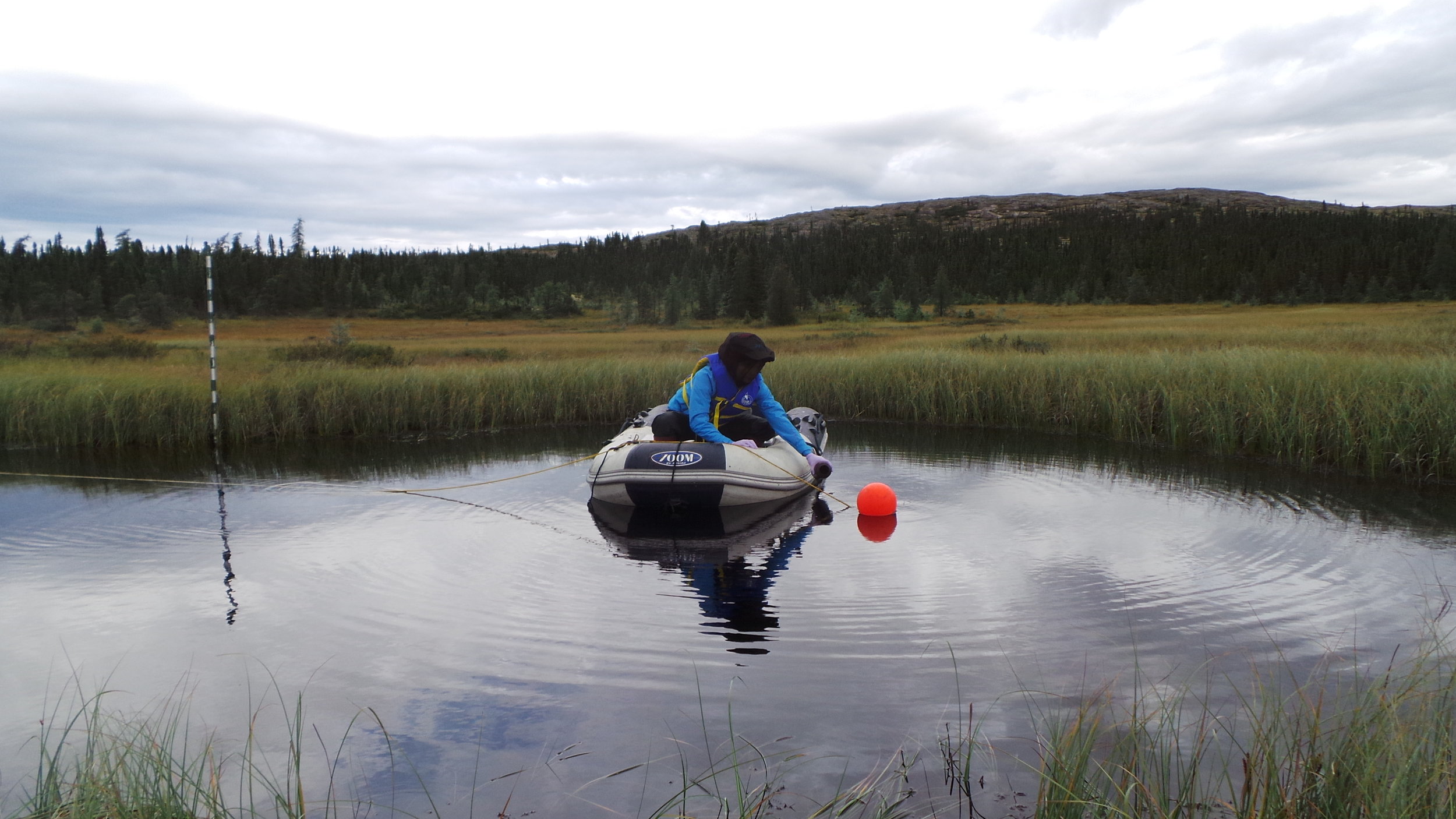 Alice Lévesque in action sampling the thermokarst pond SAS 2A