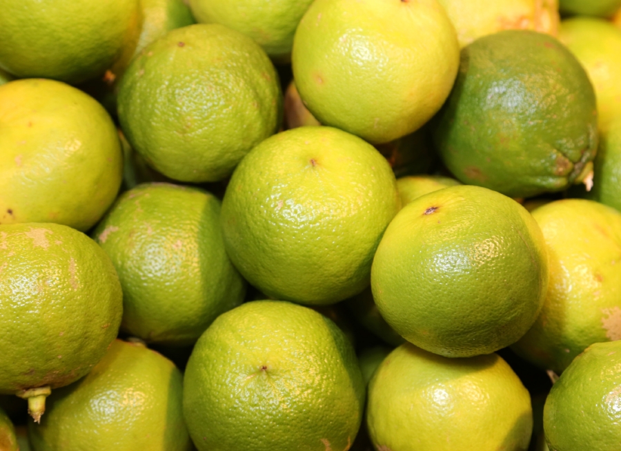 AdobeStock_96227208.jpeg