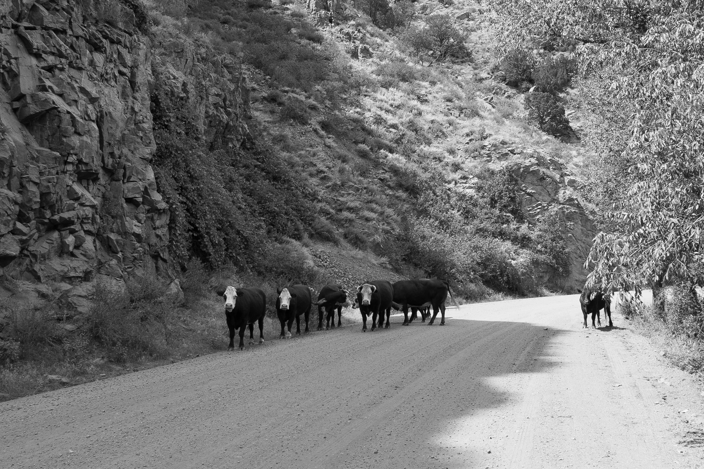 Phantom Canyon Road