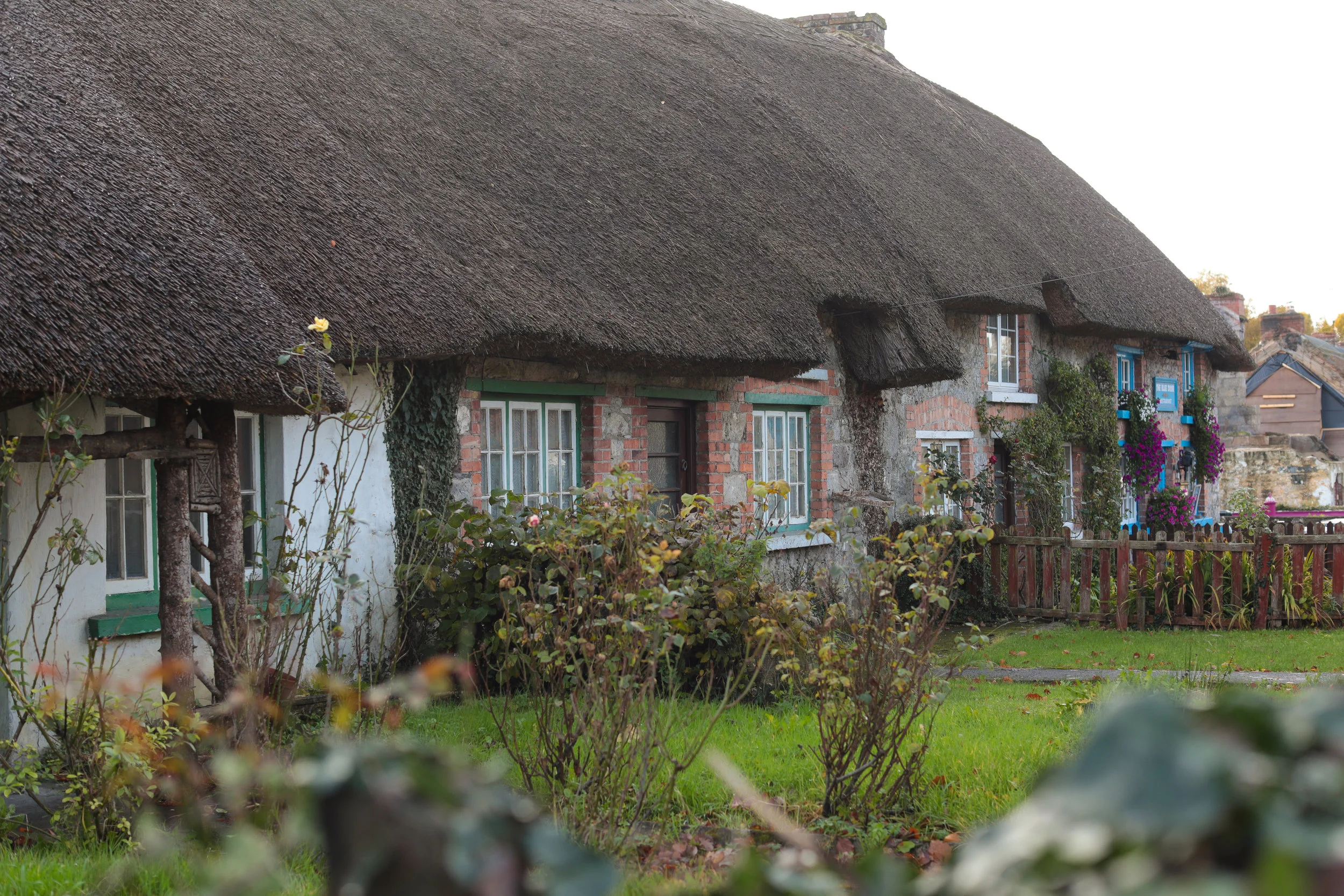 Thatched roofs in Adare
