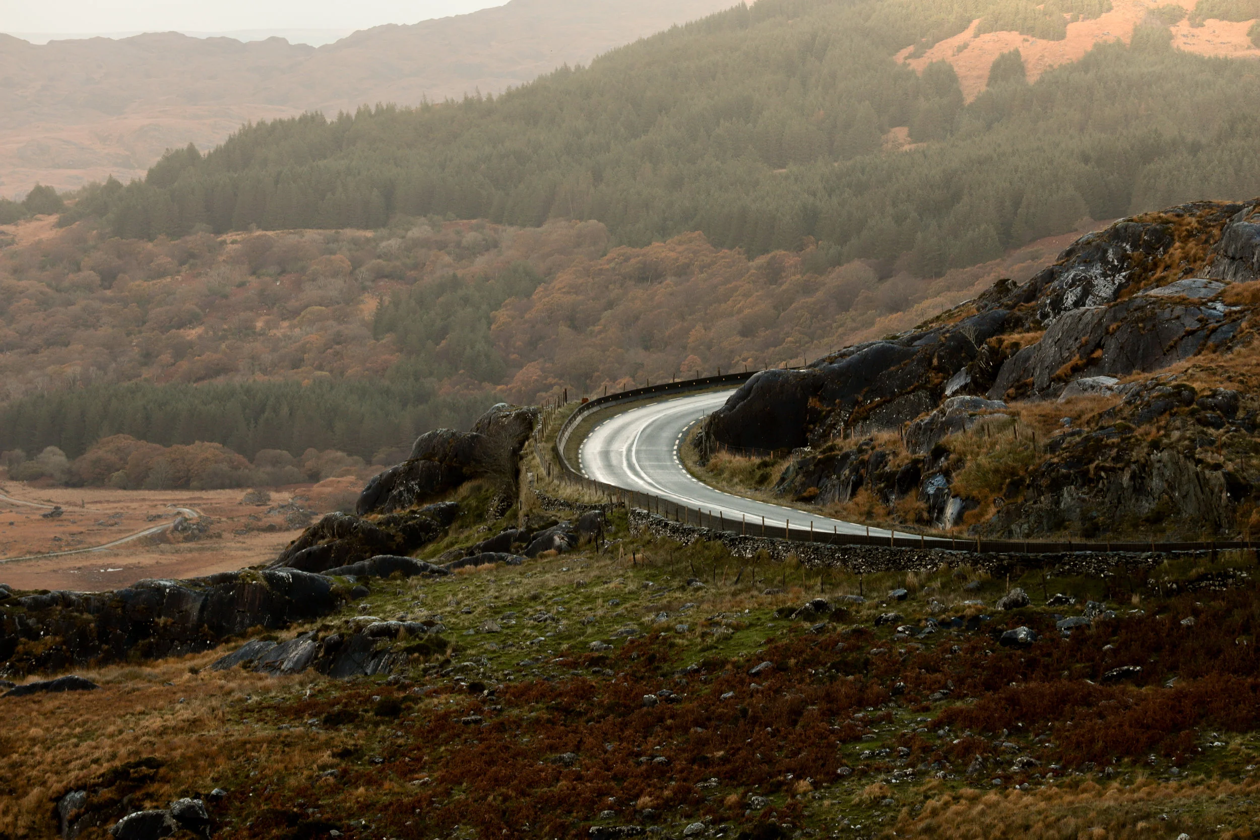 Winding roads in Killarney National Park