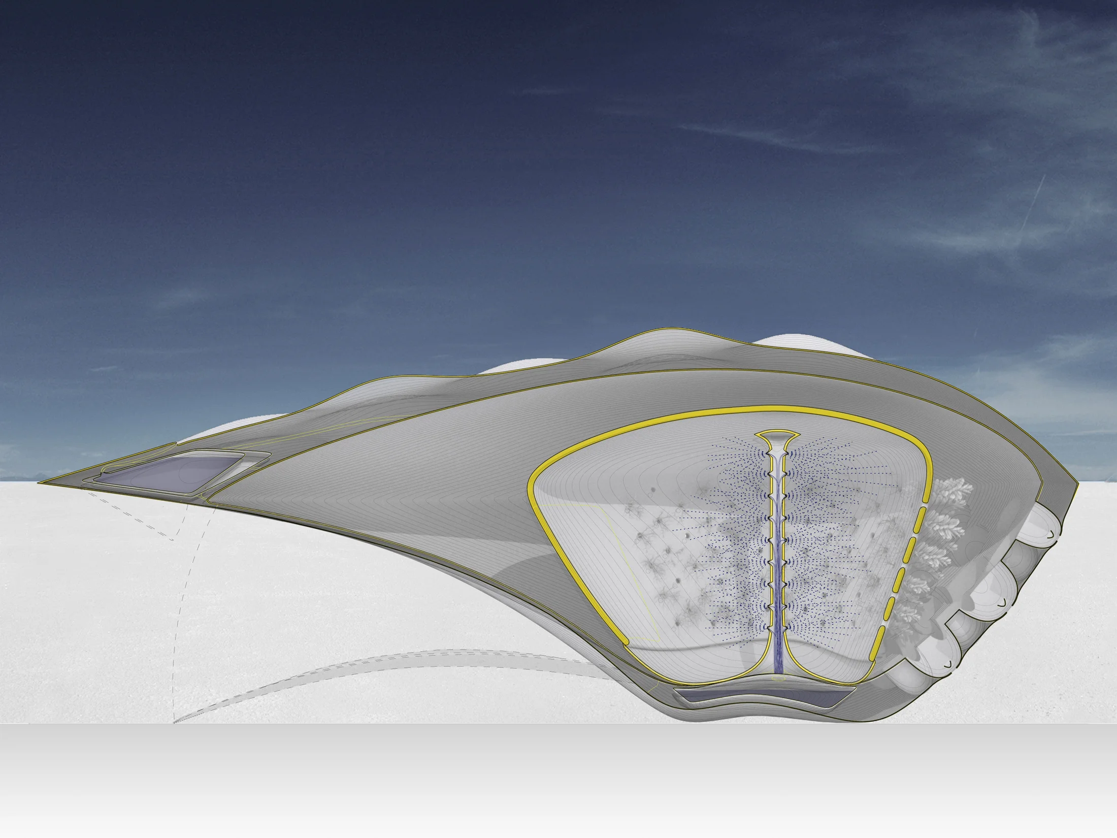 Kalo_4_Project Section.jpg