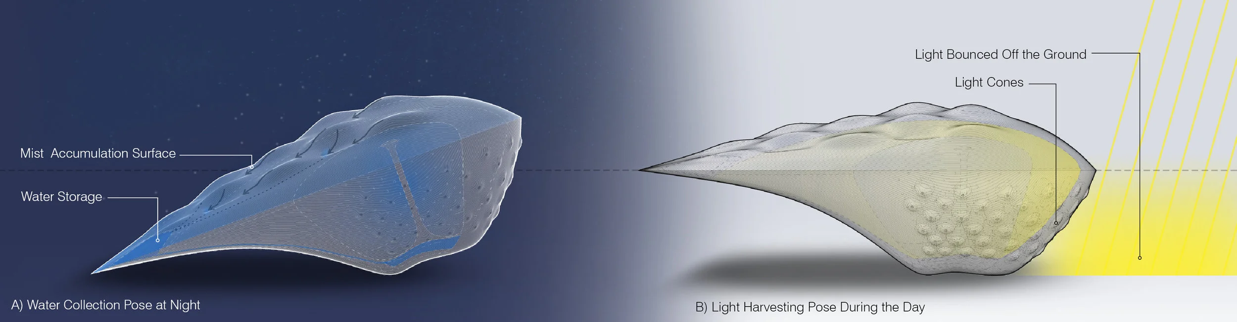 Kalo_5_Shelter Postures.jpg