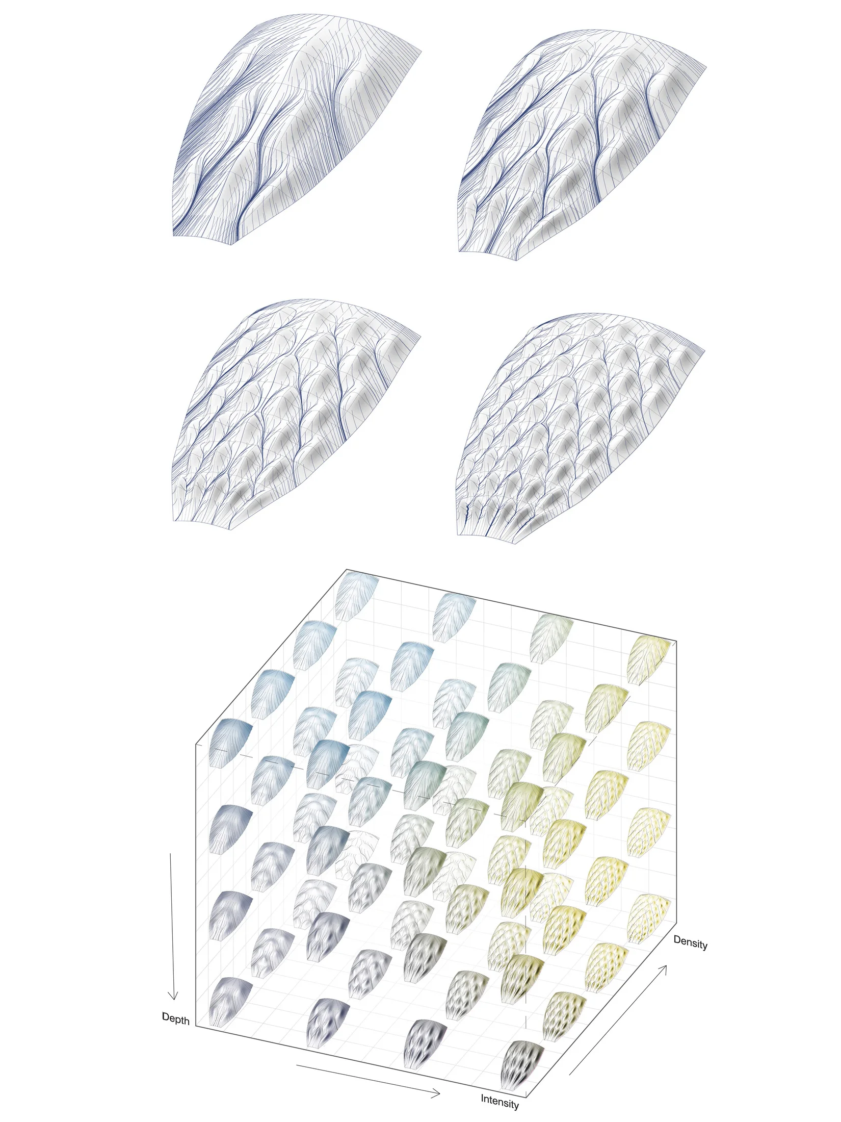 Kalo_8_Surface Articulation.jpg