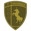 www.speedvagen.com