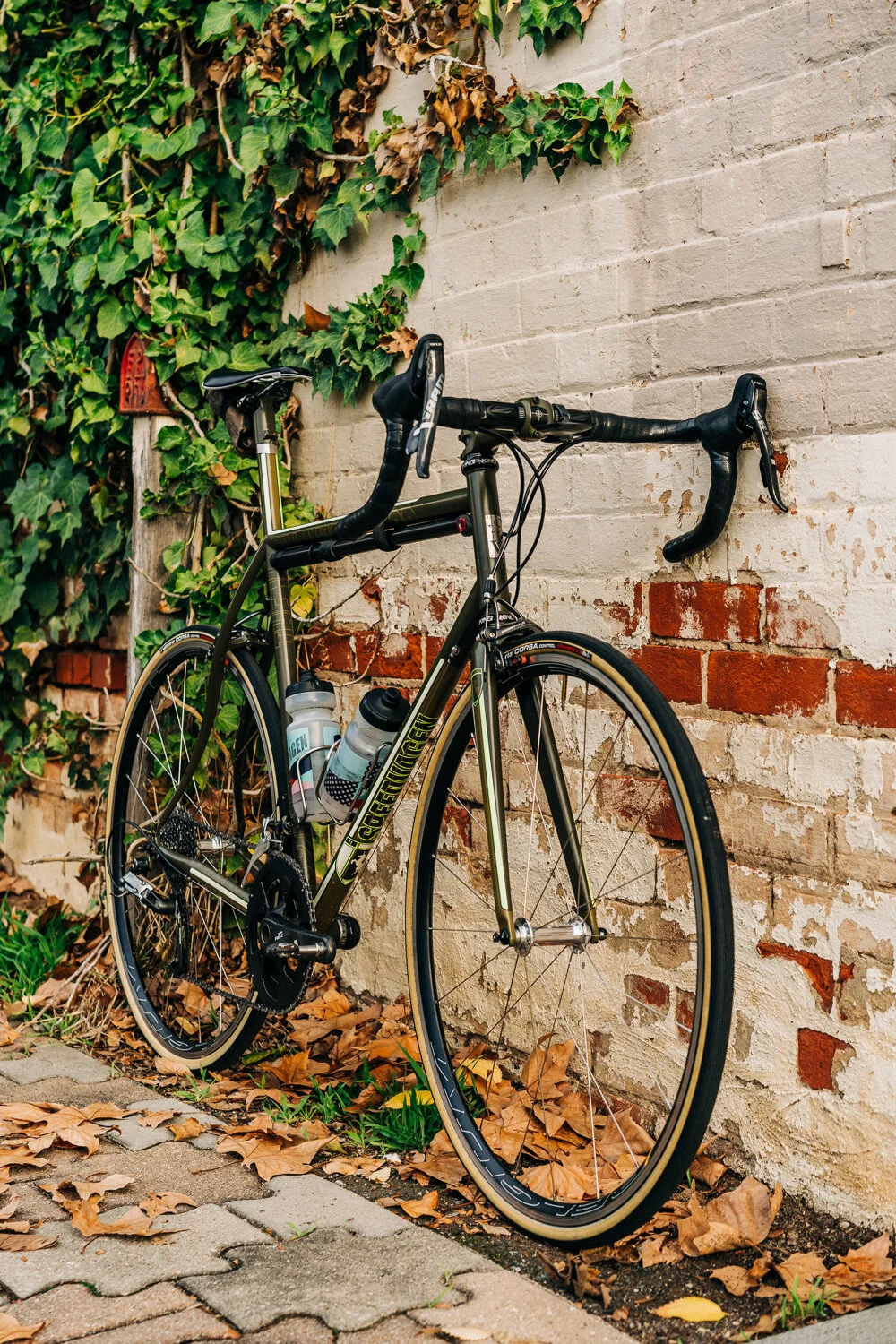 Blog Speedvagen