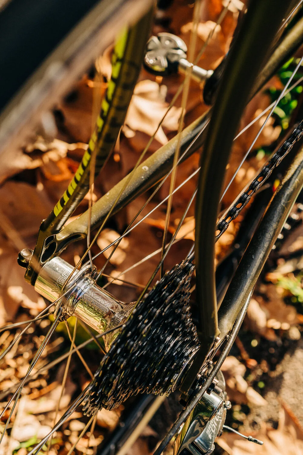 Blog Speedvagen