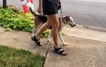 walking harry.jpg