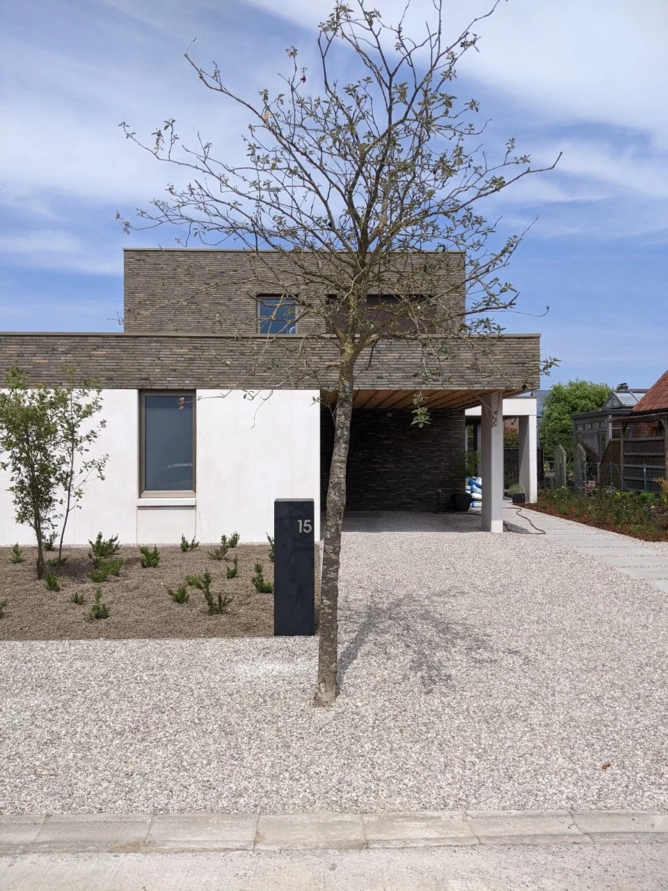 PXL_20220714_114533057.MP groot.jpg