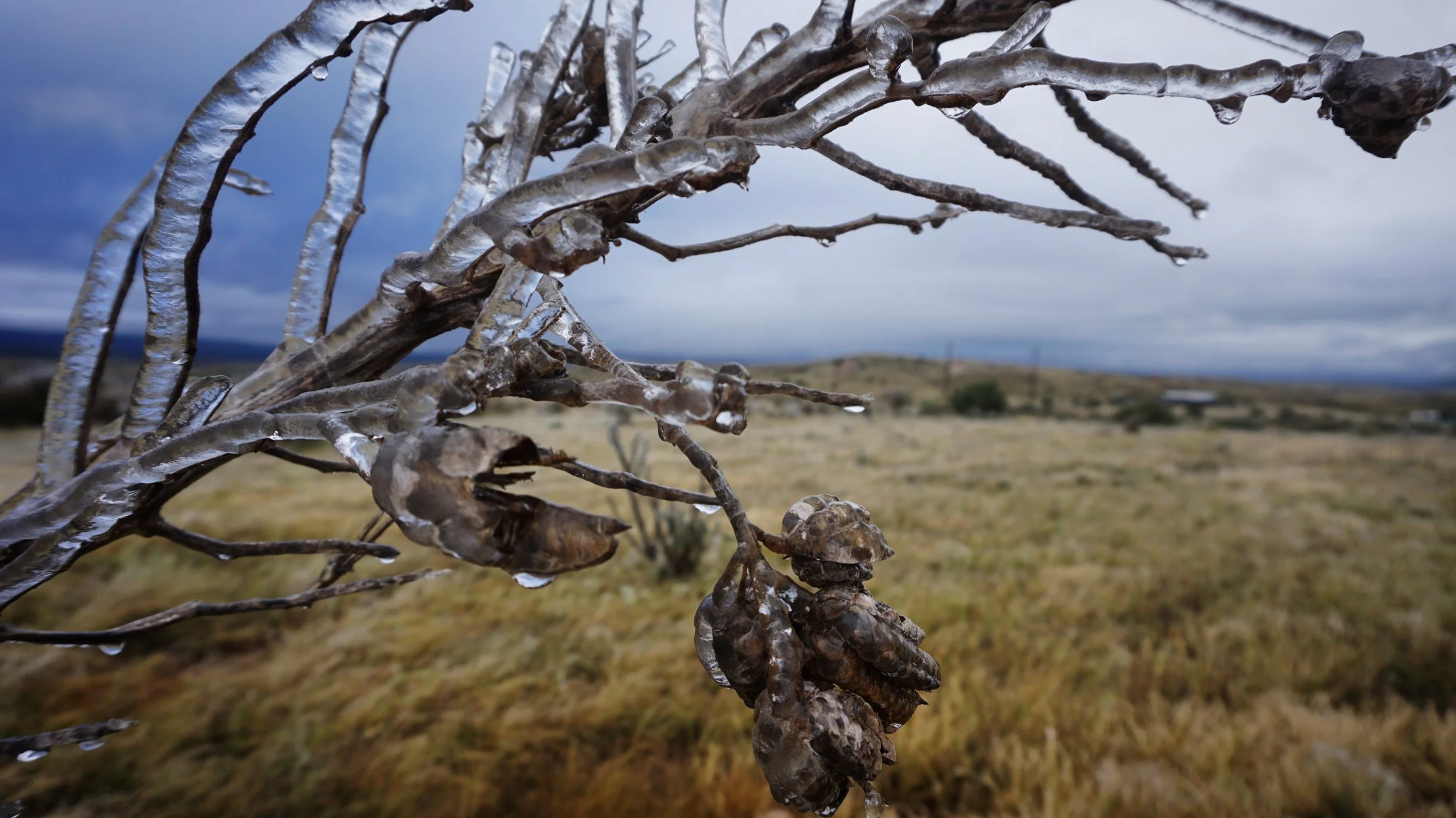 Alpine, TX