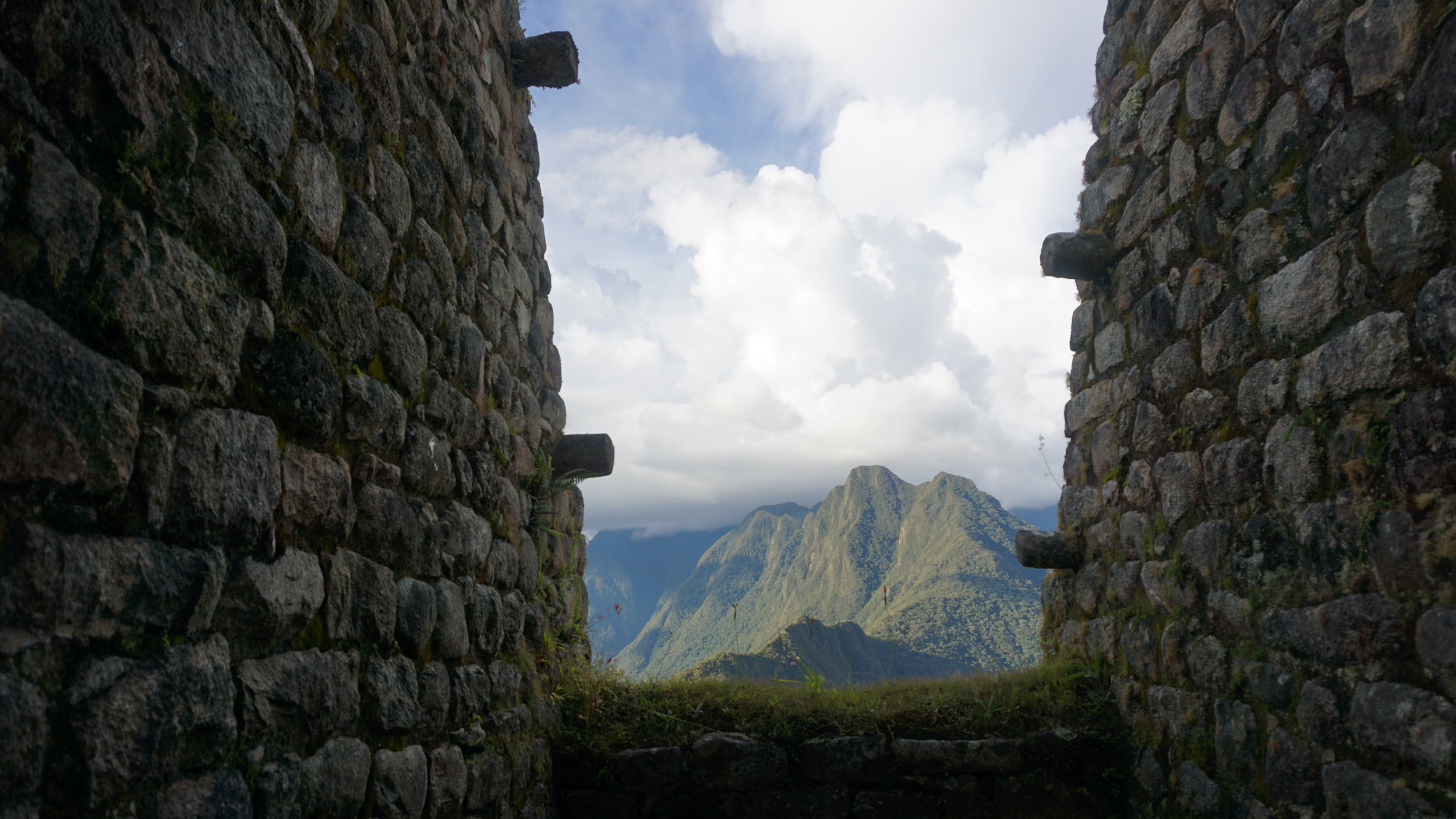 Detail at Wiñay Wayna