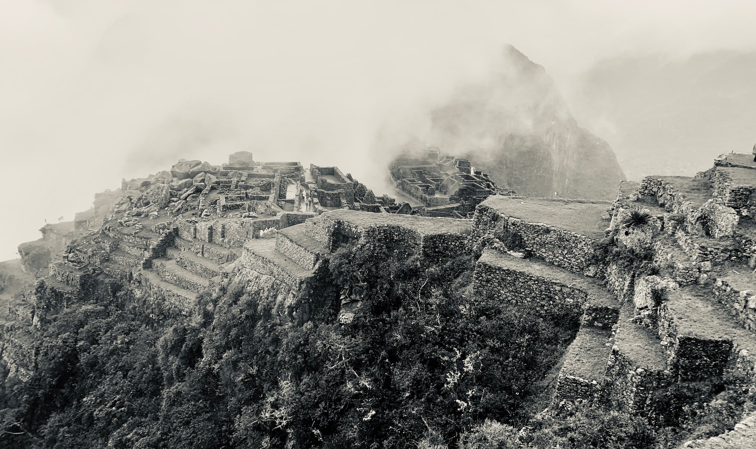 The citadel at a glance