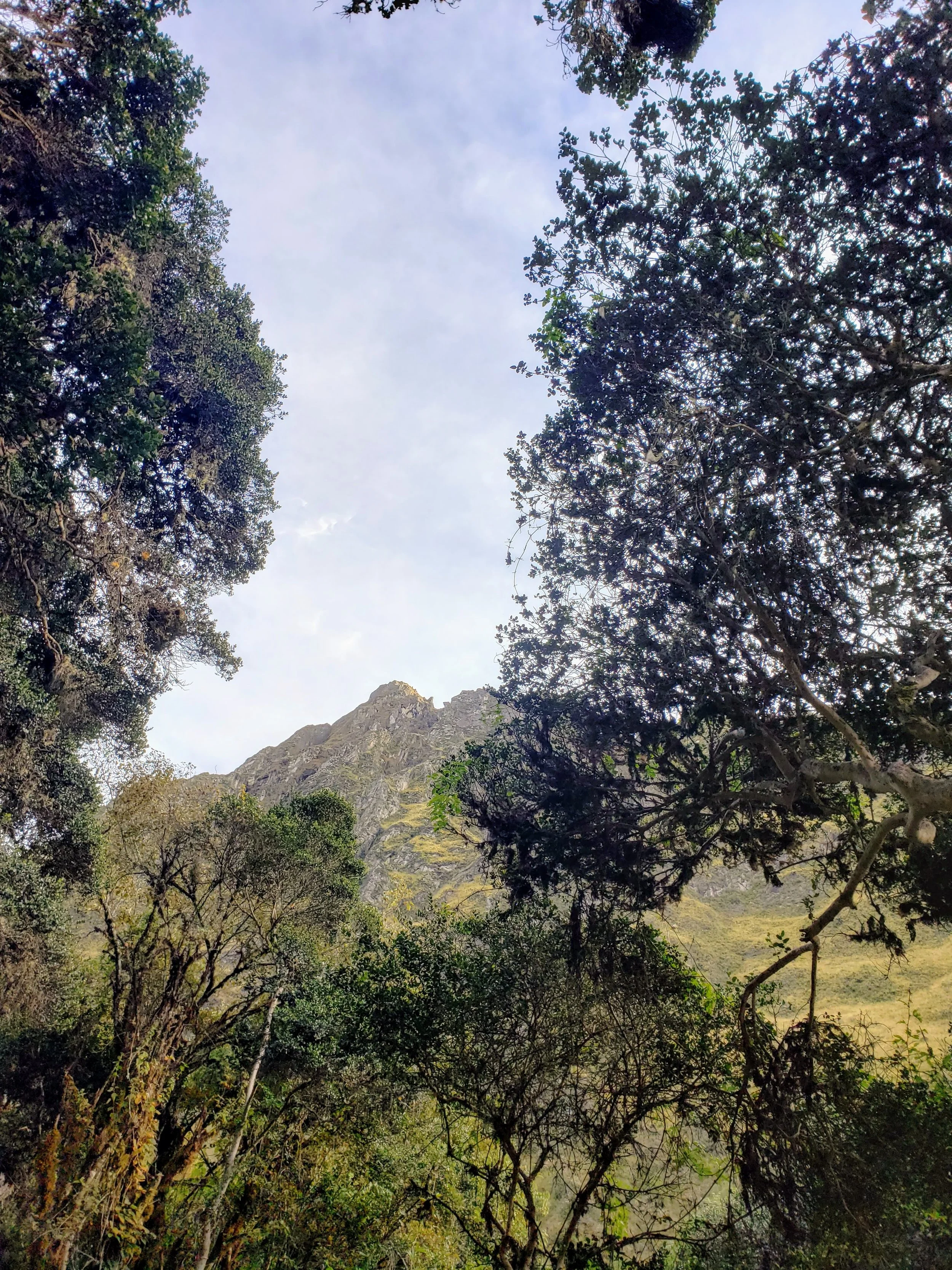 20190414_065327.jpg